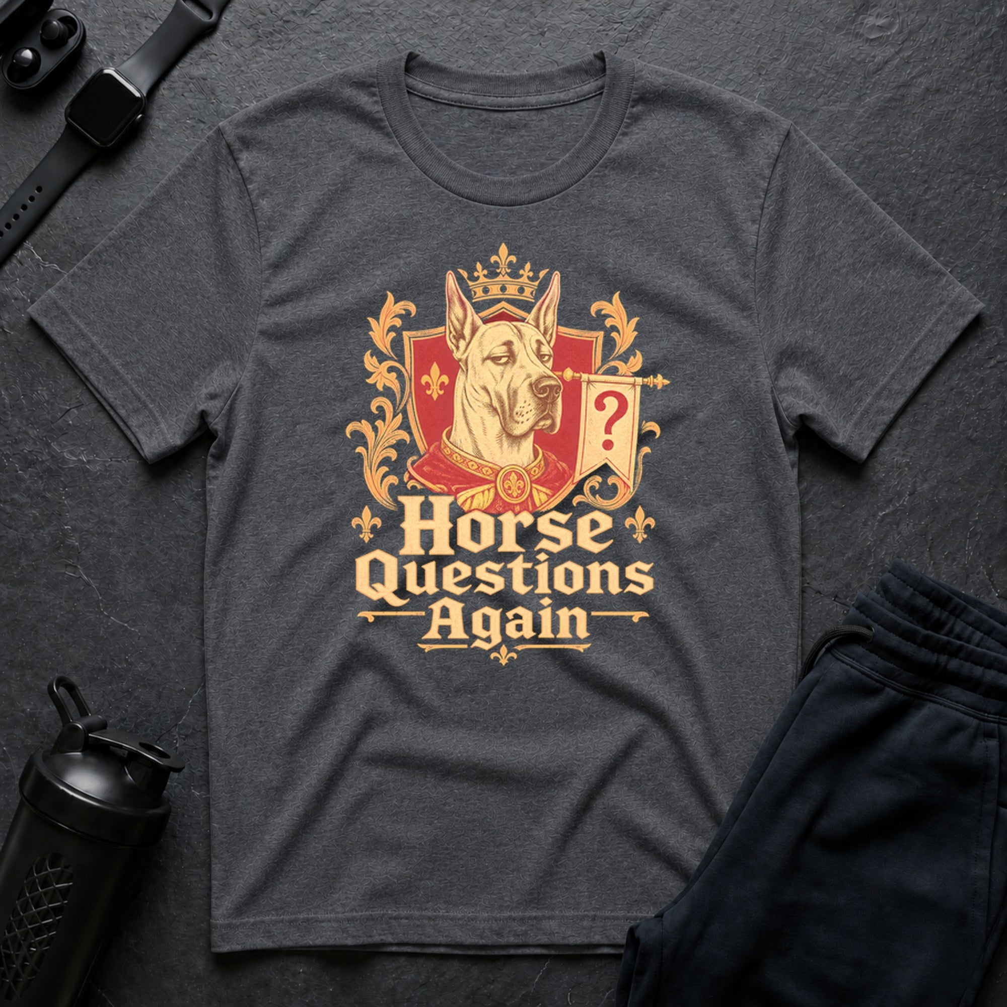 Horse Questions Again - Sport Grey