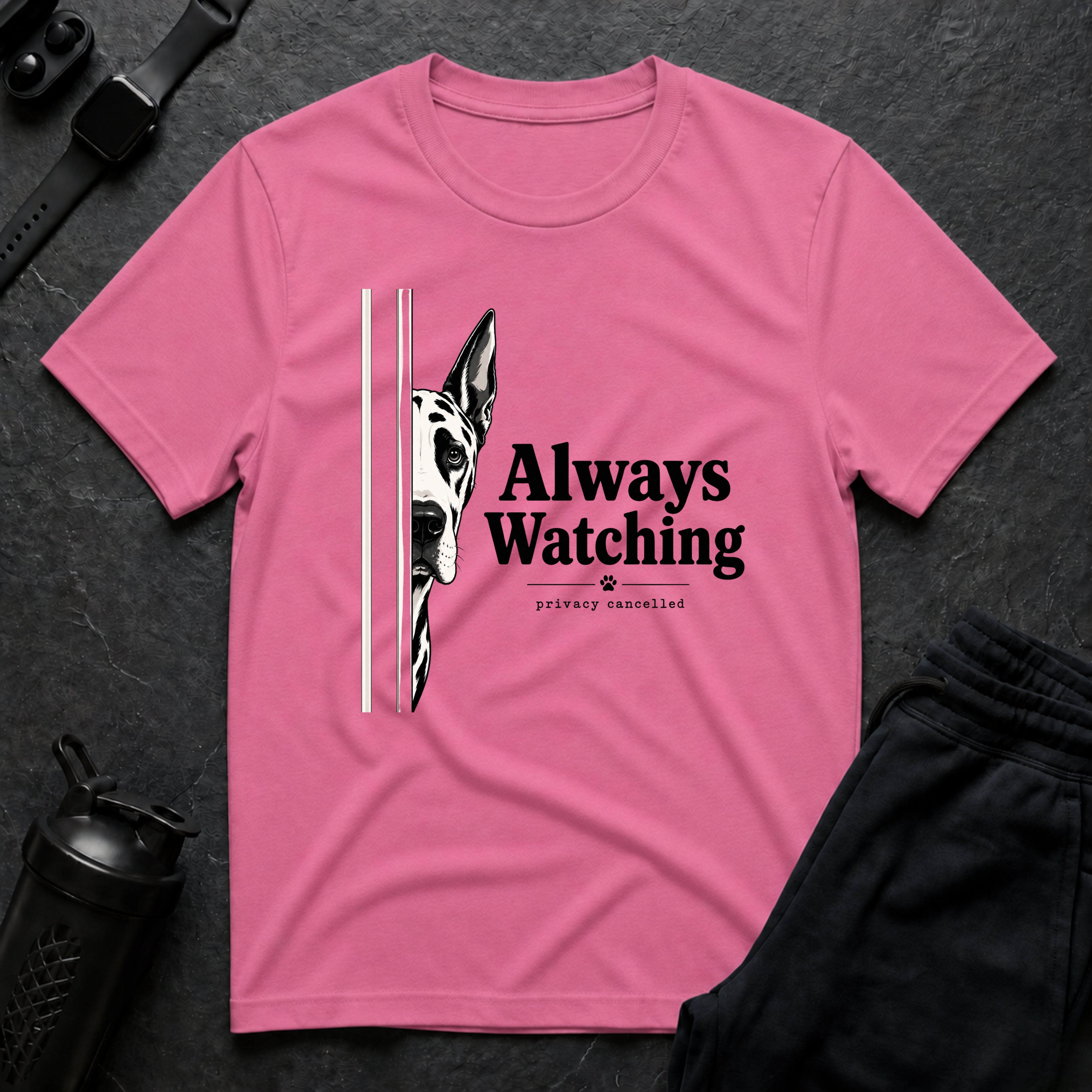 Always Watching Privacy Cancelled