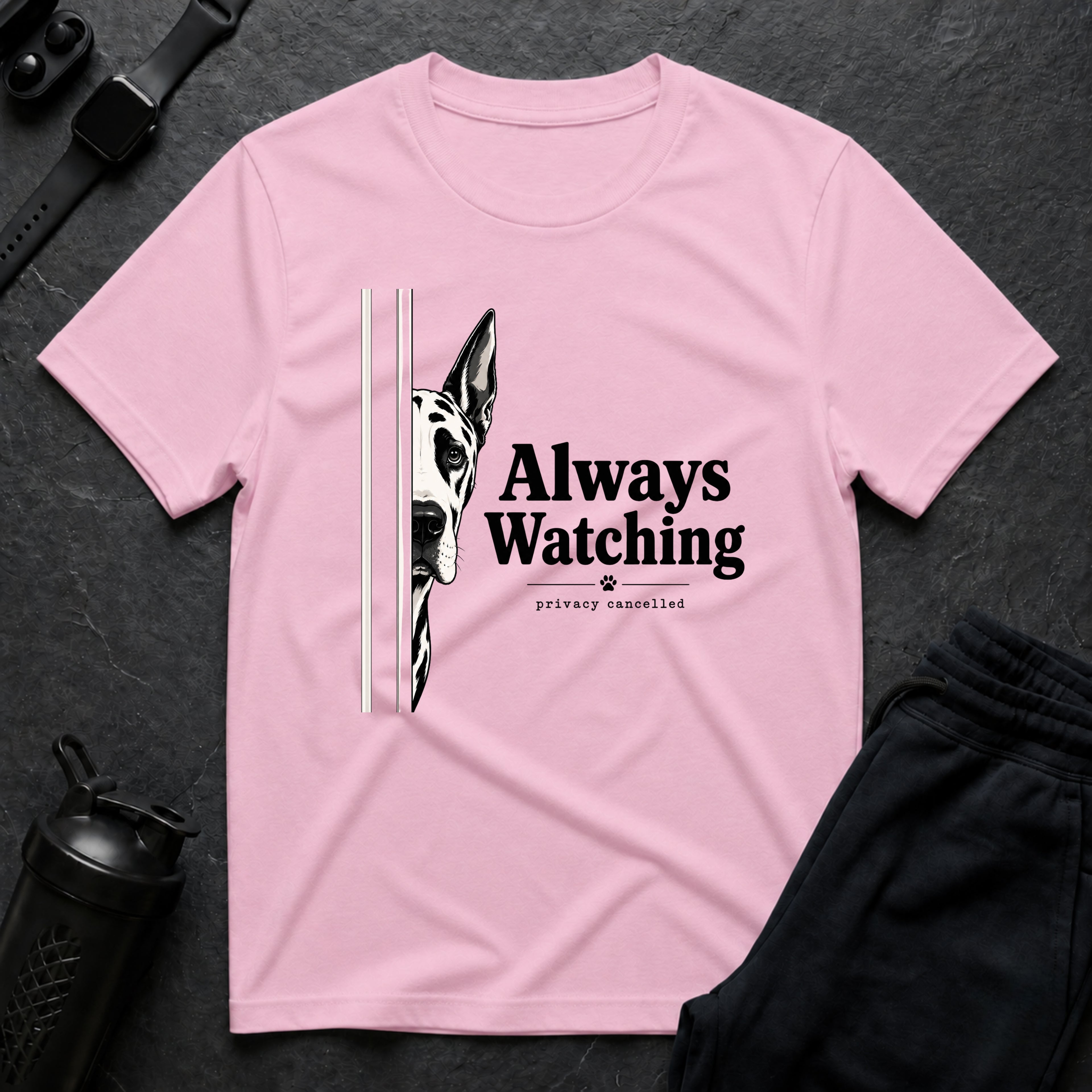 Always Watching Privacy Cancelled