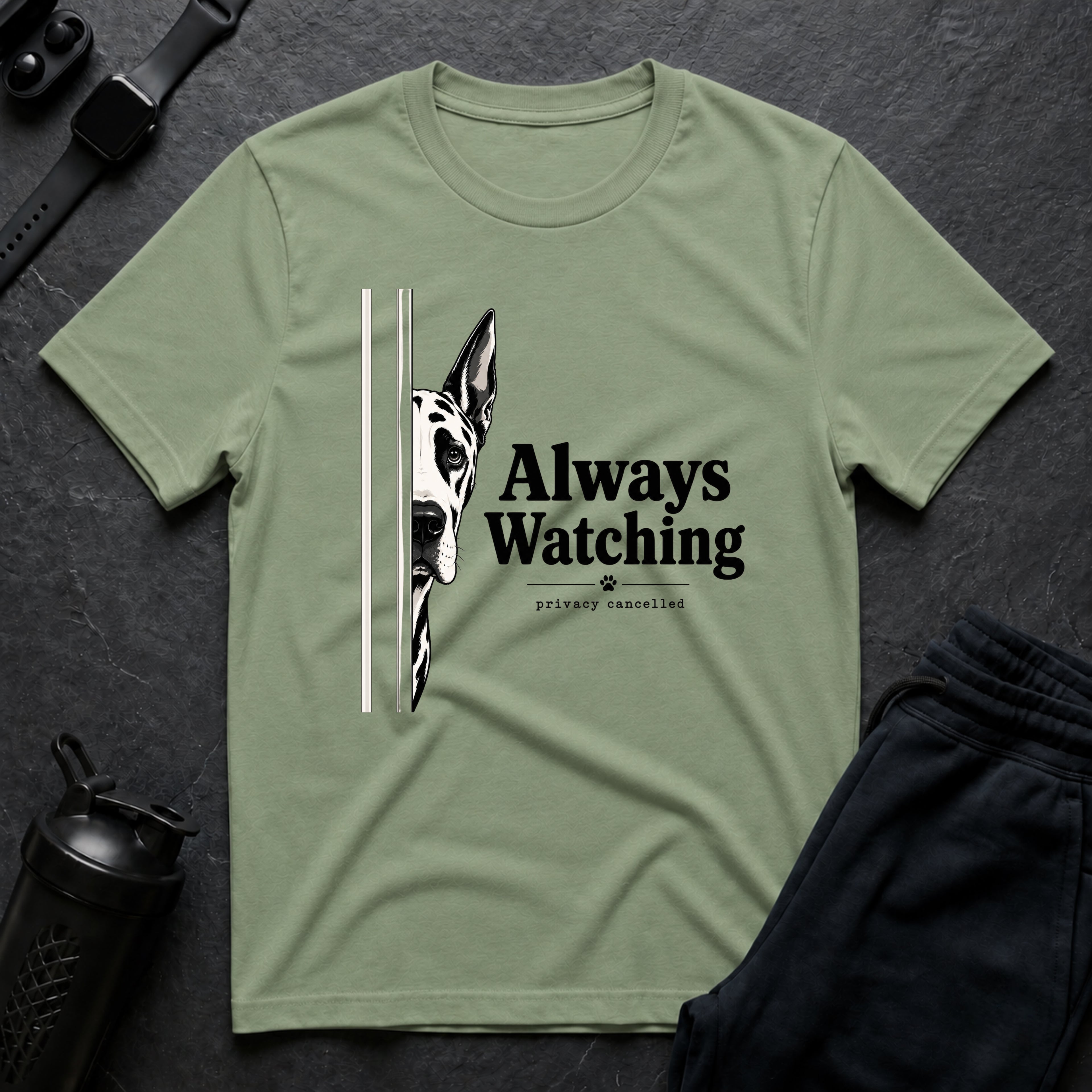 Always Watching Privacy Cancelled