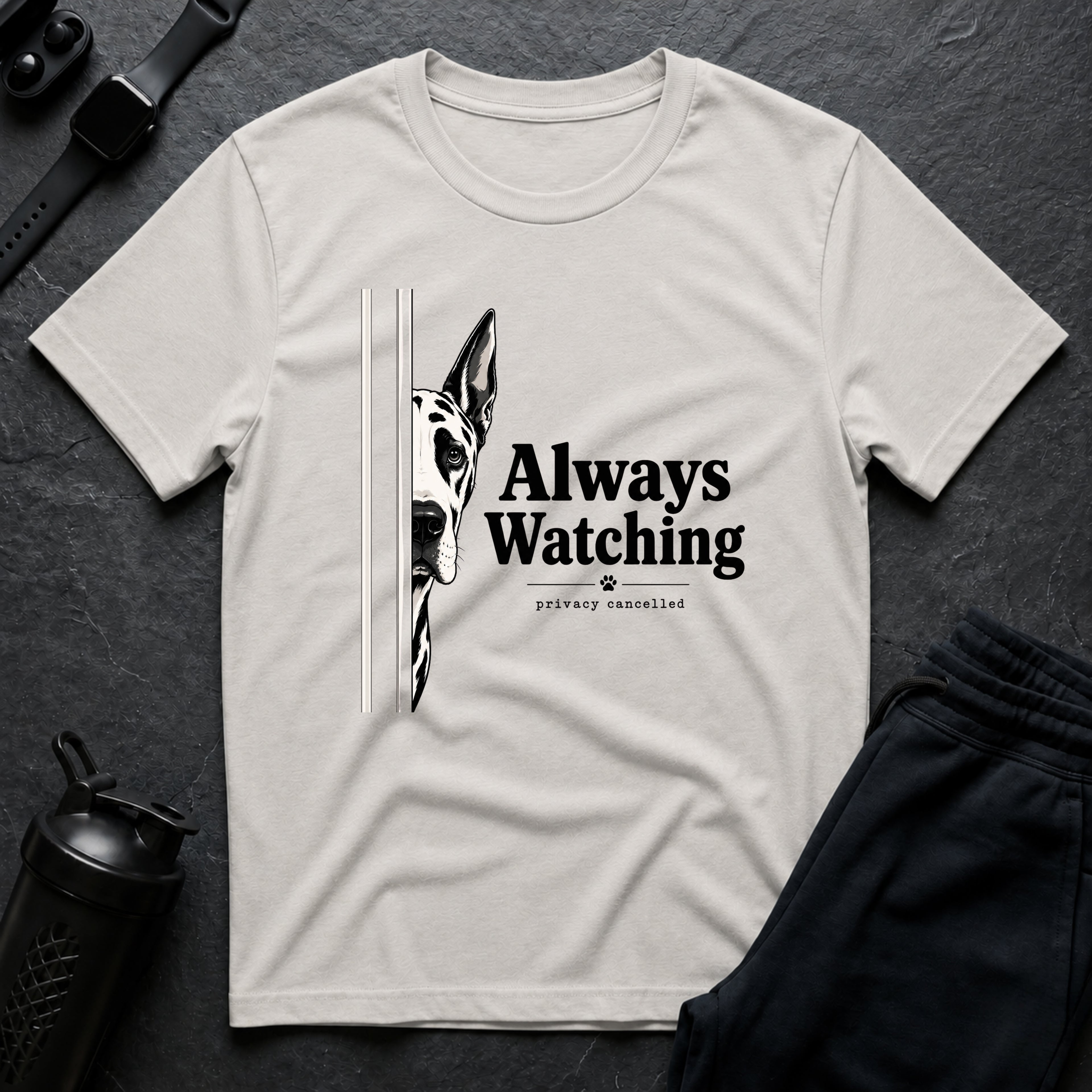 Always Watching Privacy Cancelled