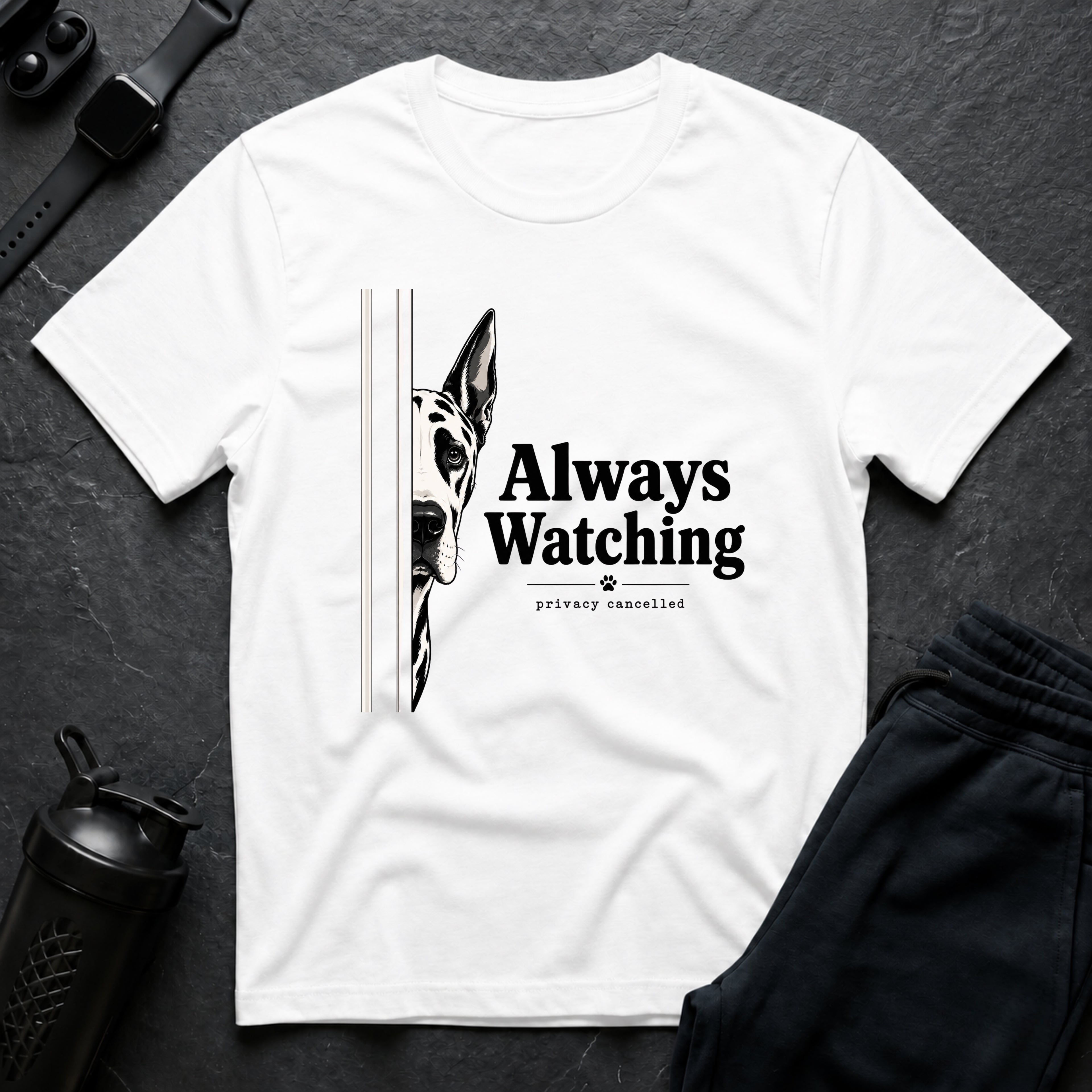Always Watching Privacy Cancelled