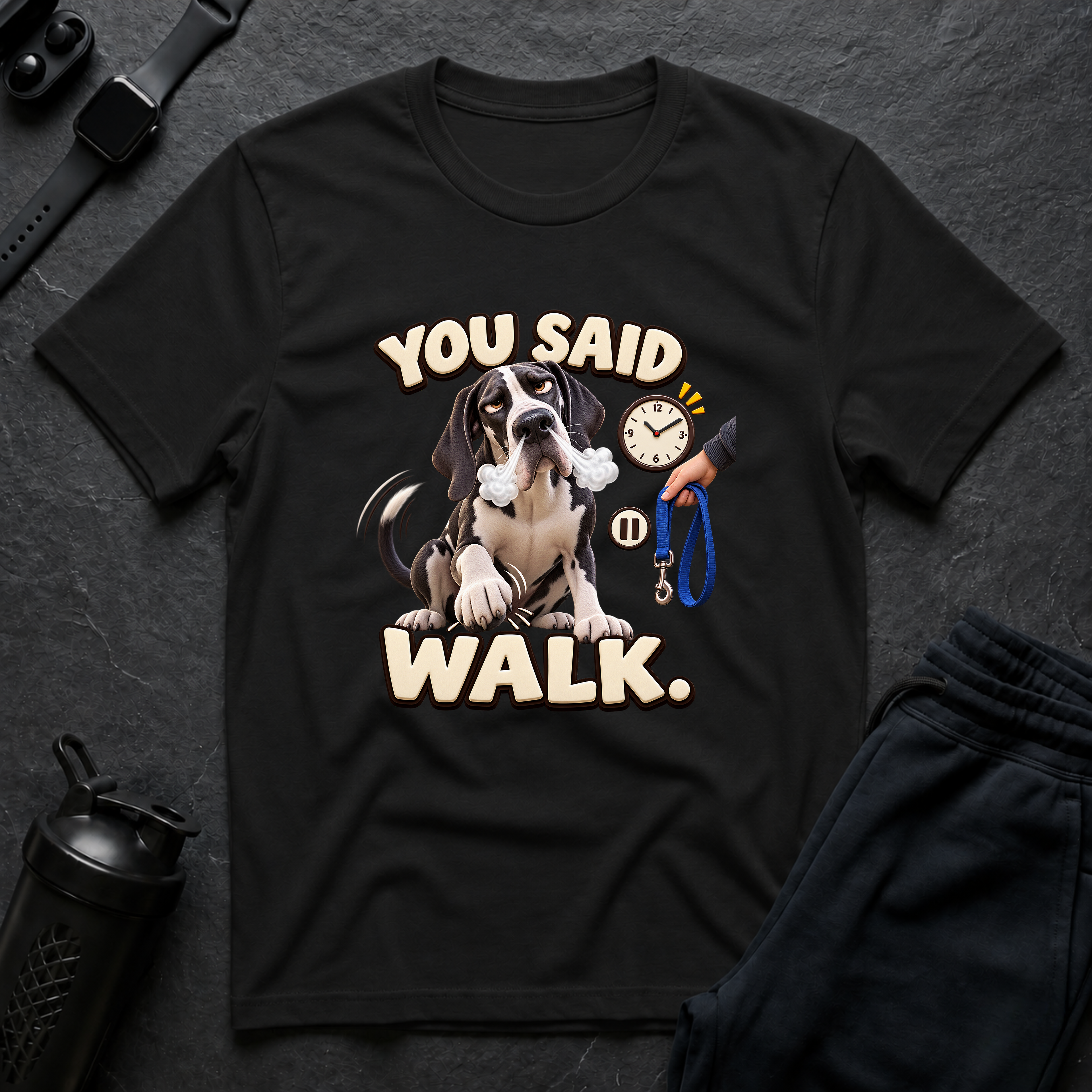 You Said Walk