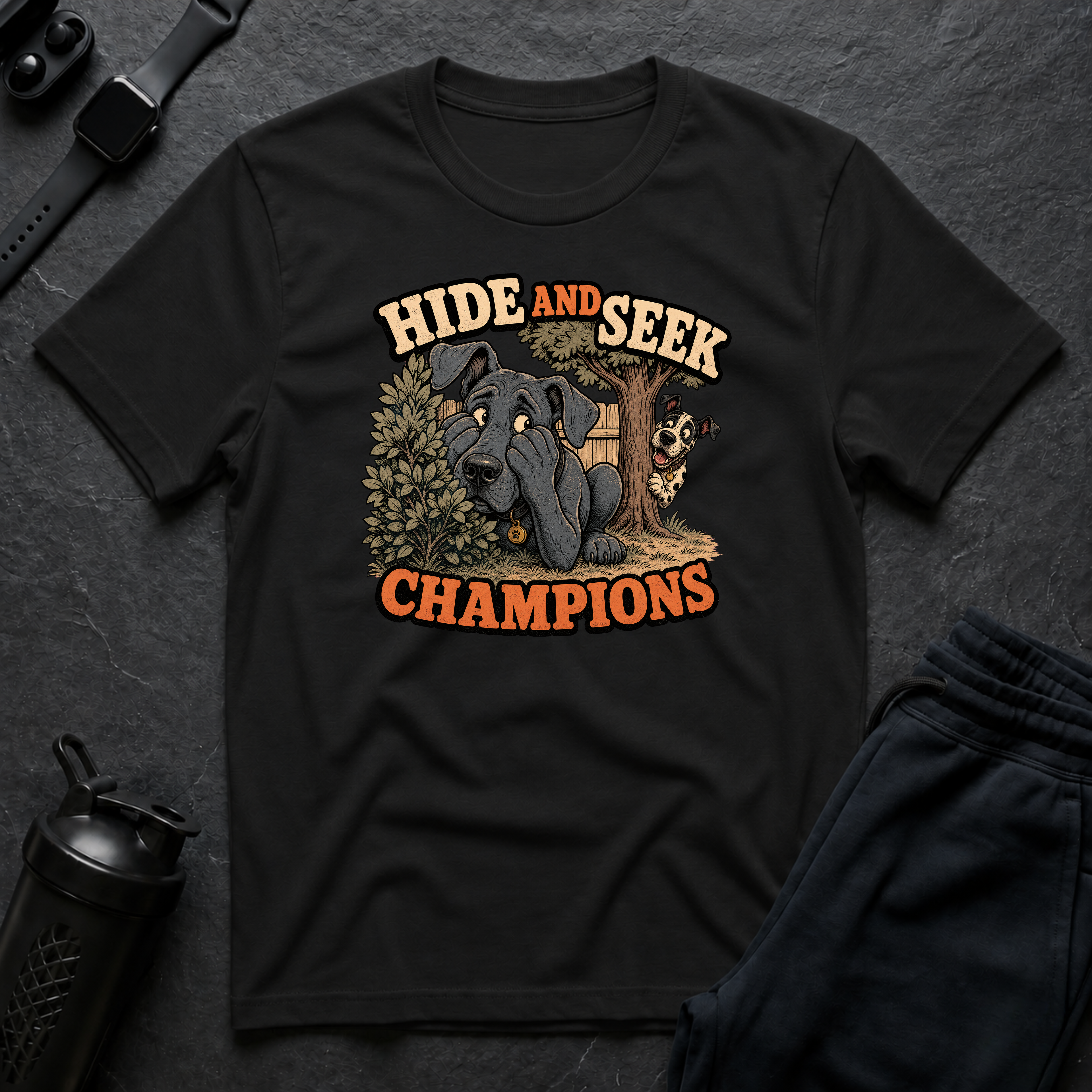 Hide and Seek Champions