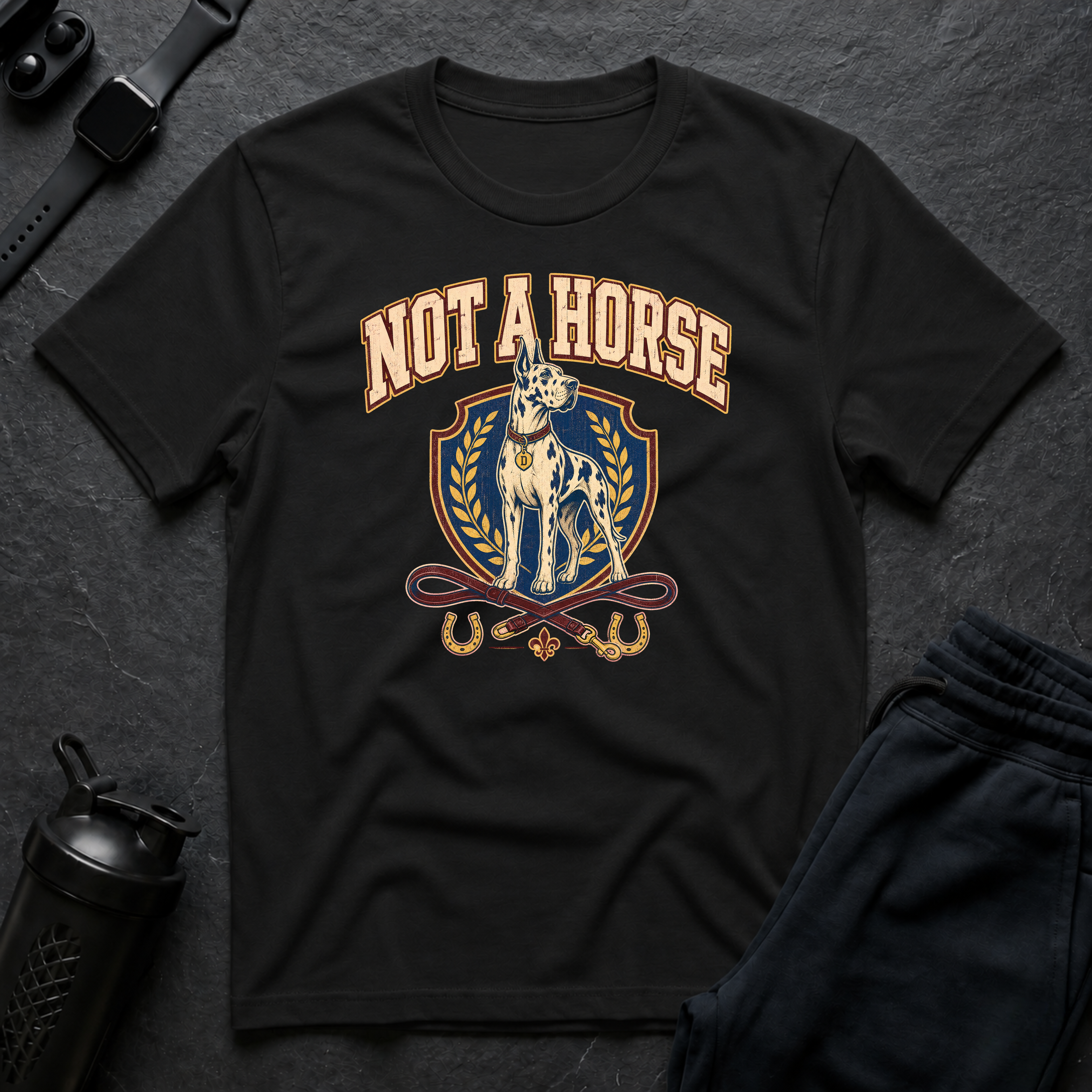 Not A Horse