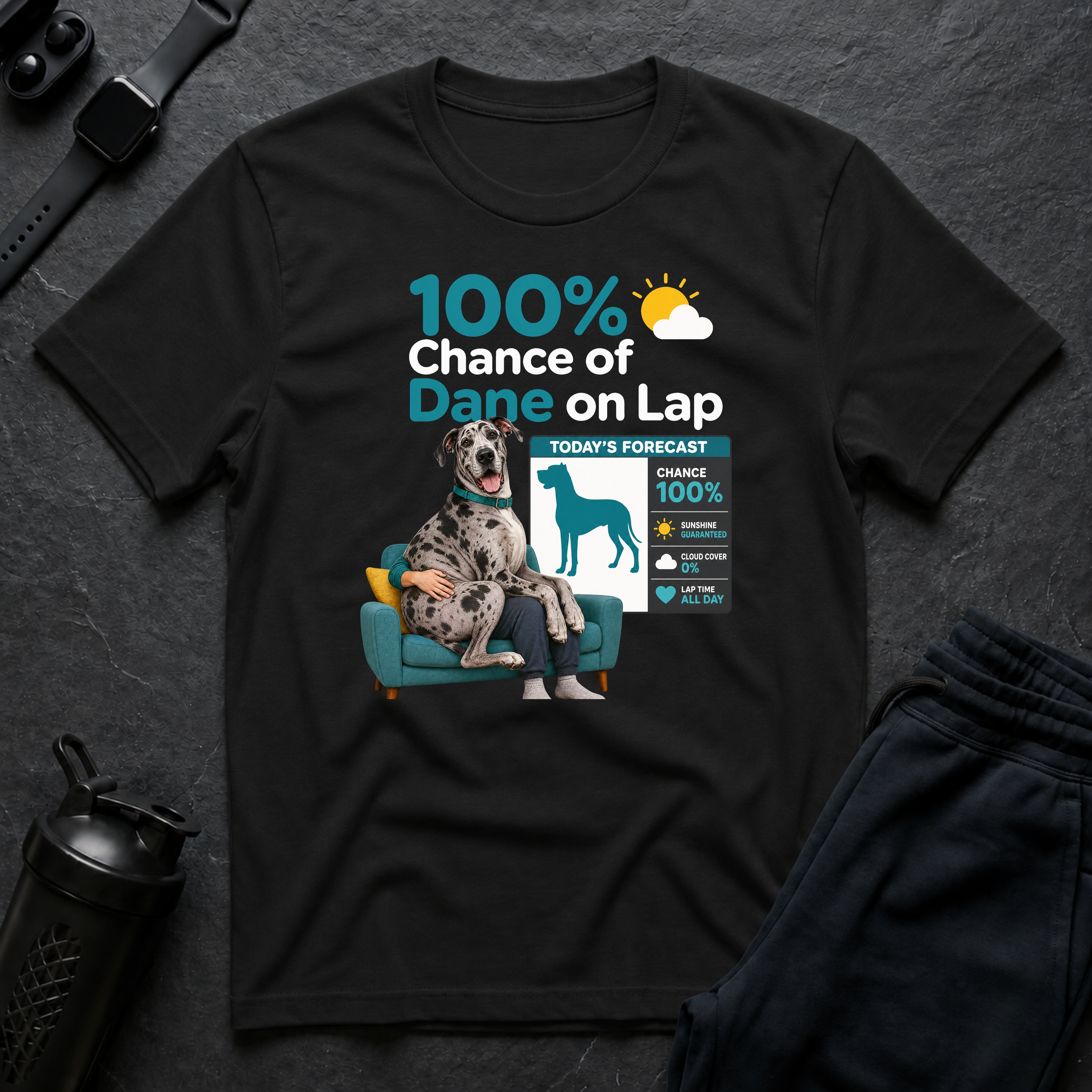 Dane on Lap Forecast