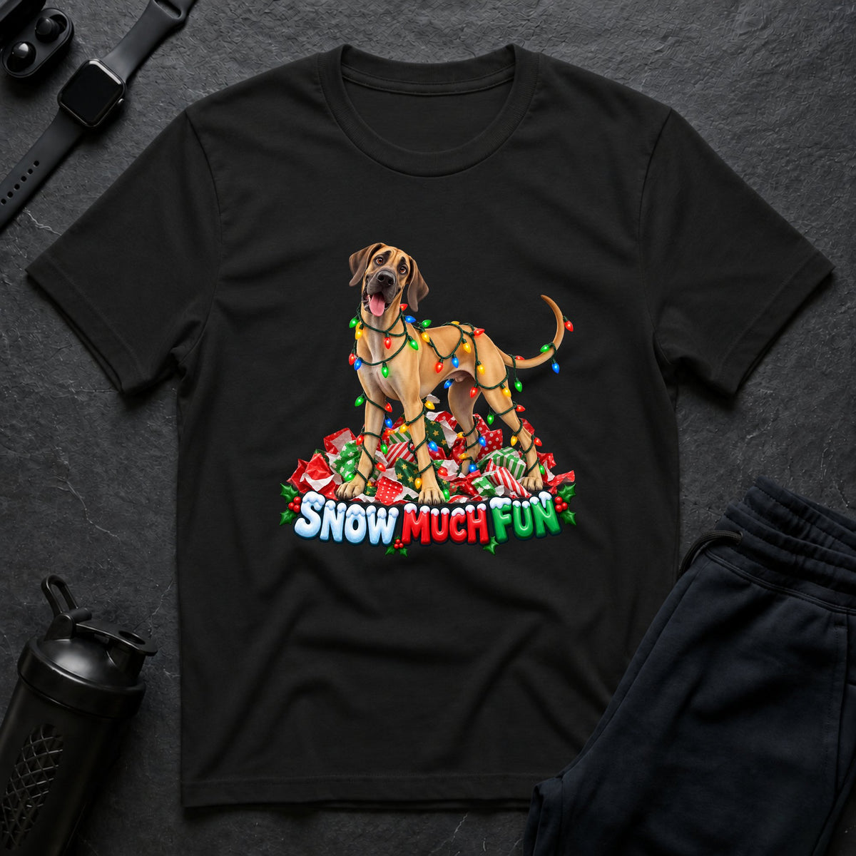 Snow Much Fun 3