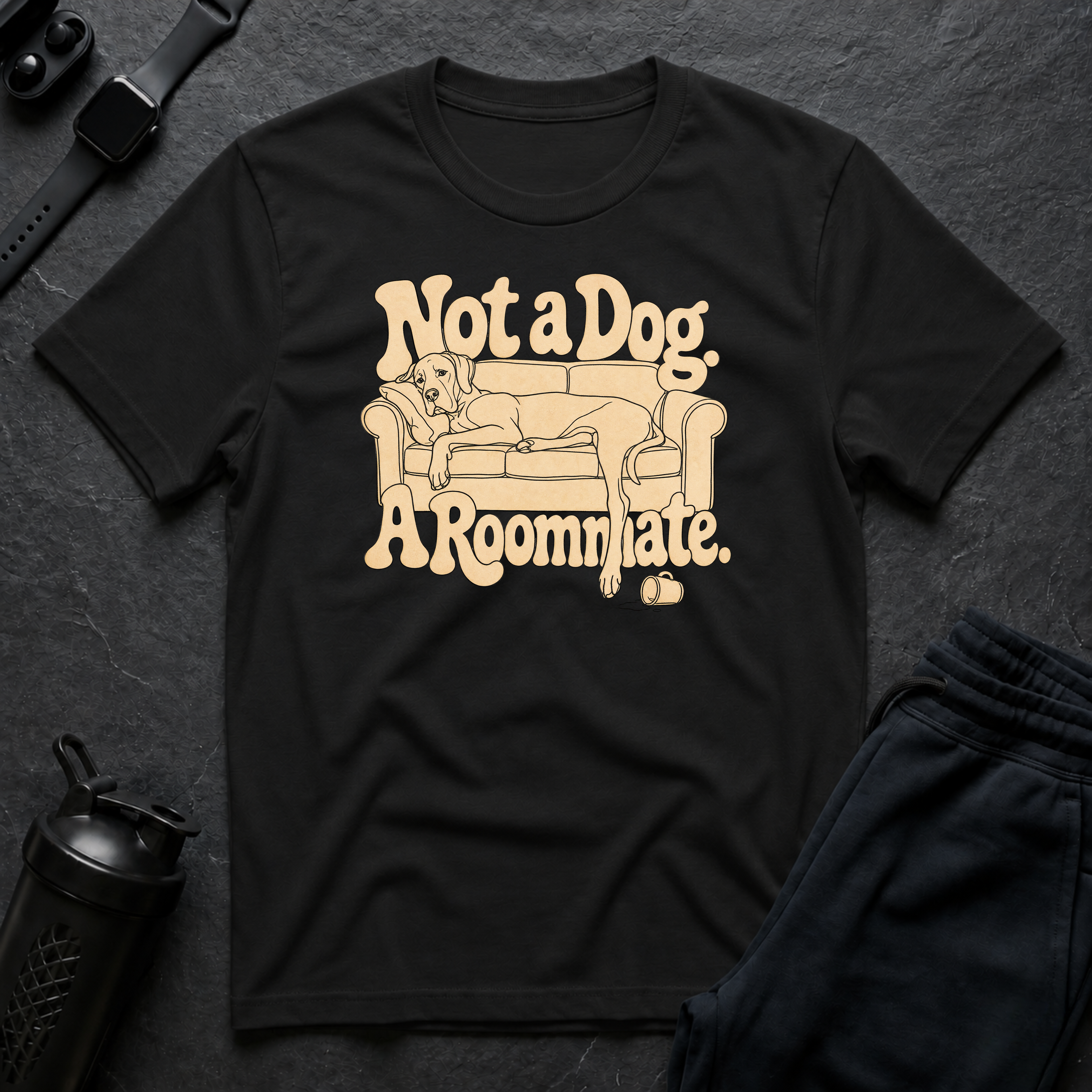 Roommate Dog Lounge