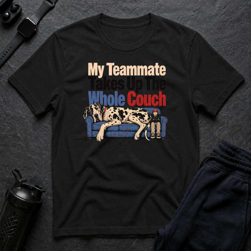 Teammate Couch Hog