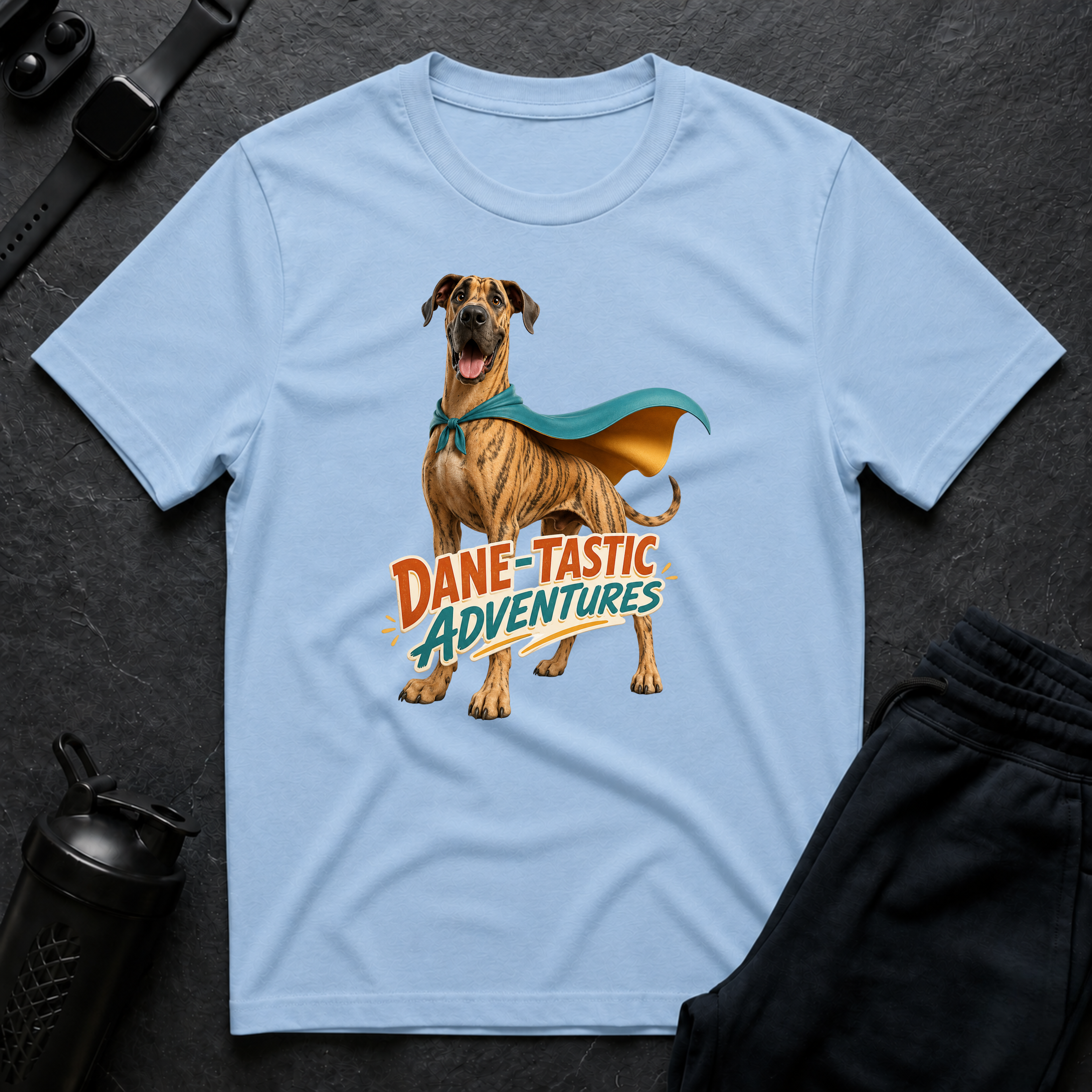 Dane-Tastic Adventures Hero