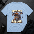 You Can't See