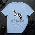 Gentle Giant 2