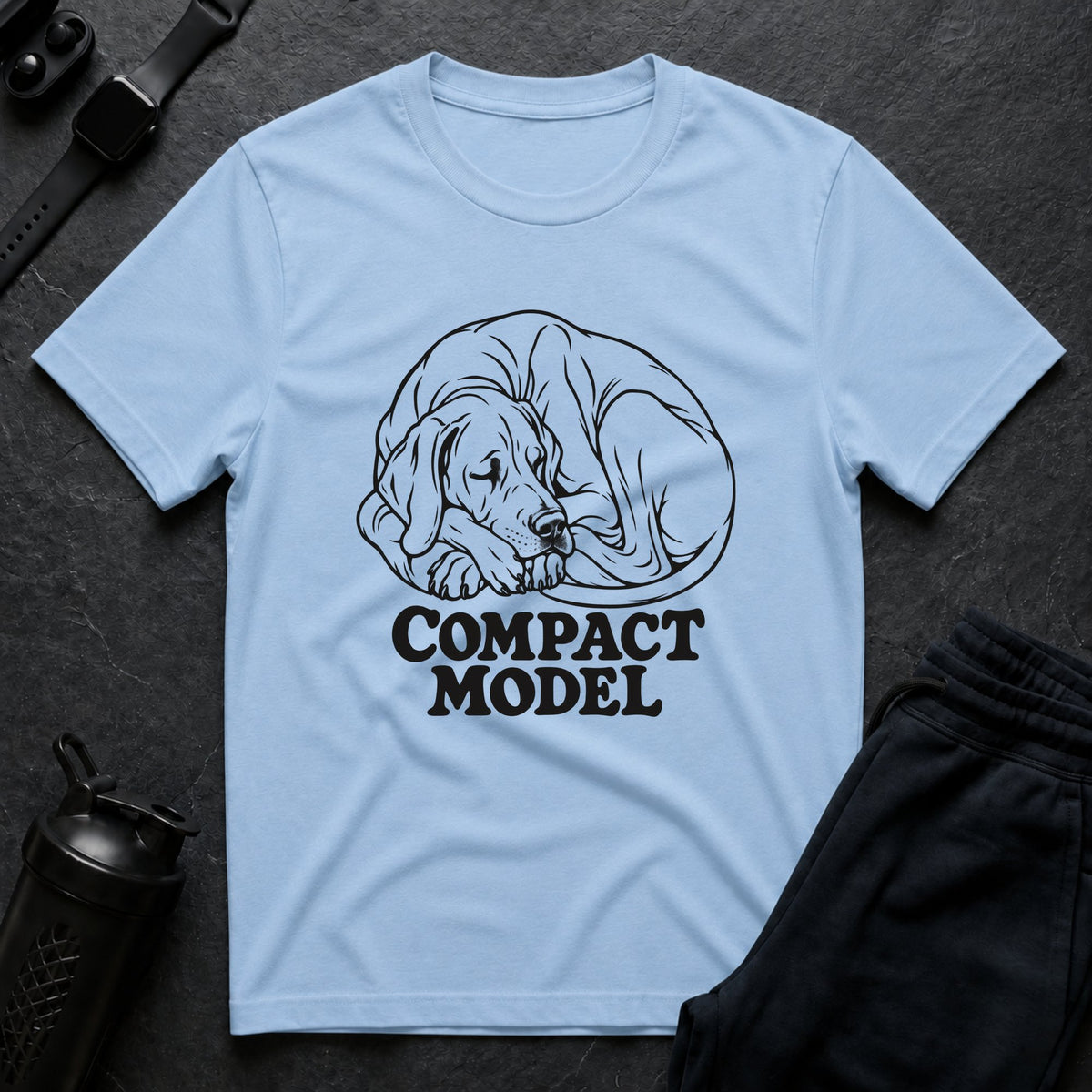Compact Model
