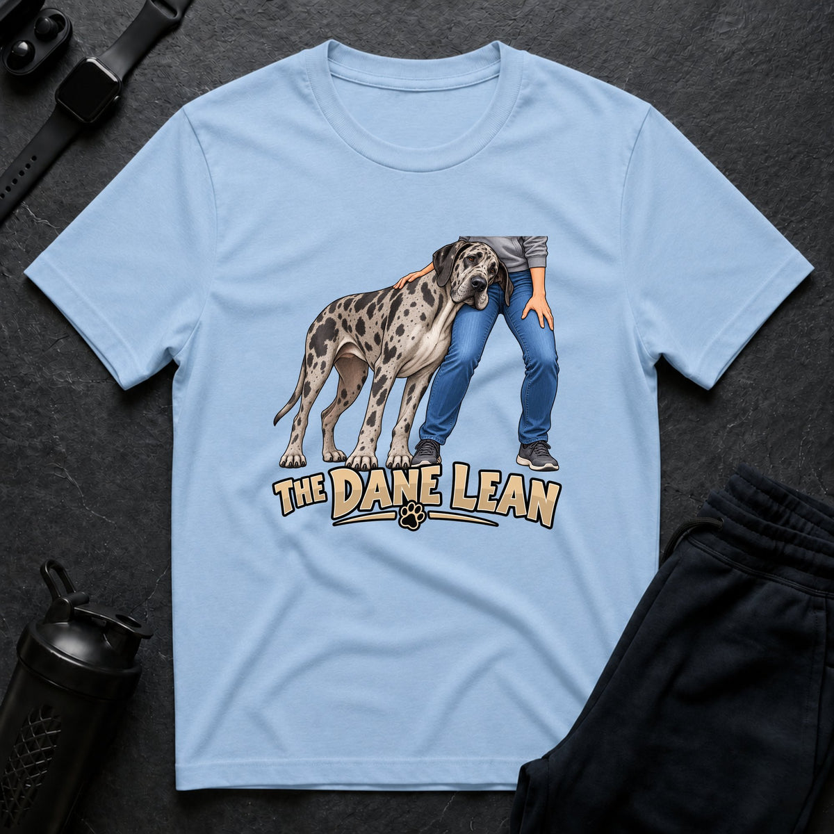 Dane Companion