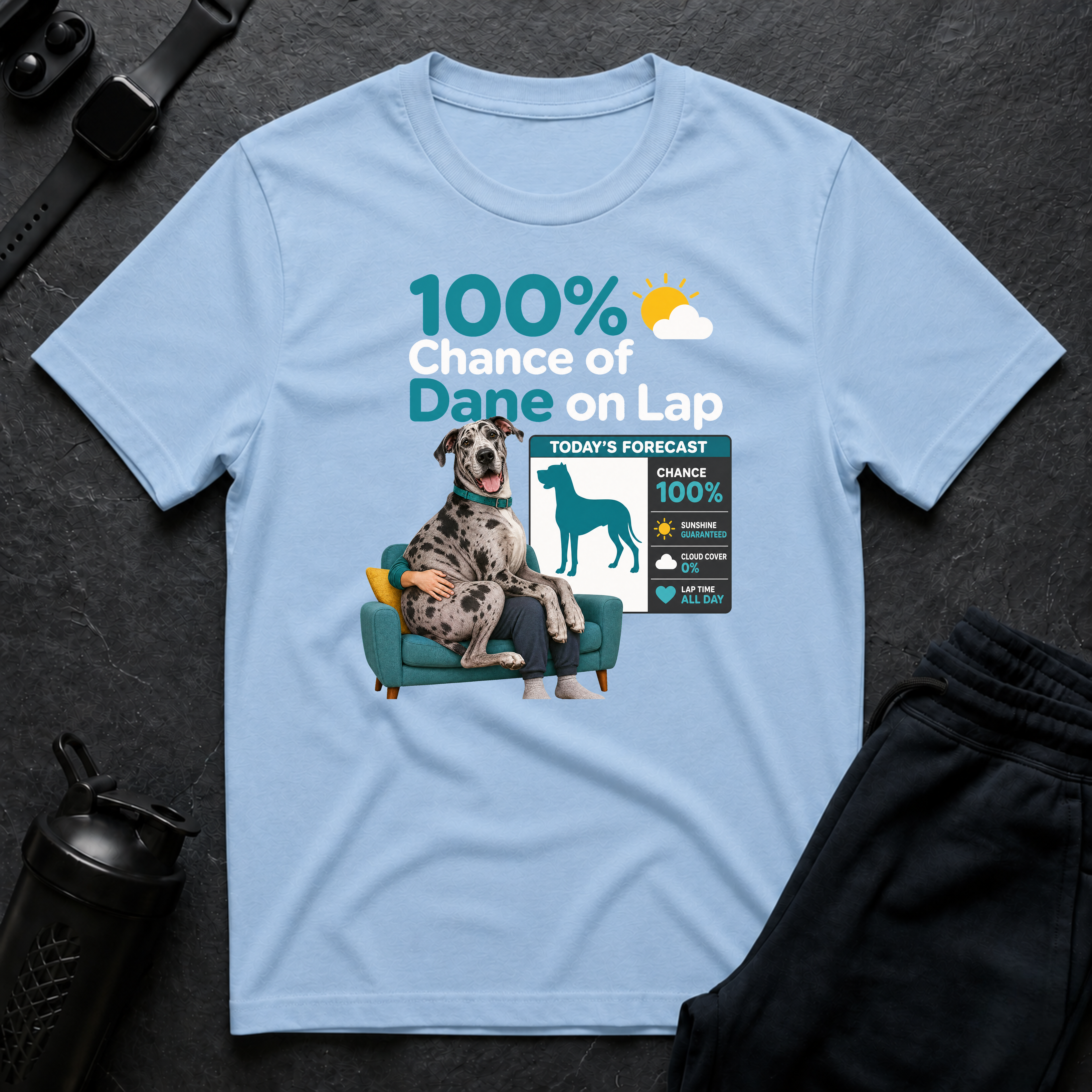 Dane on Lap Forecast
