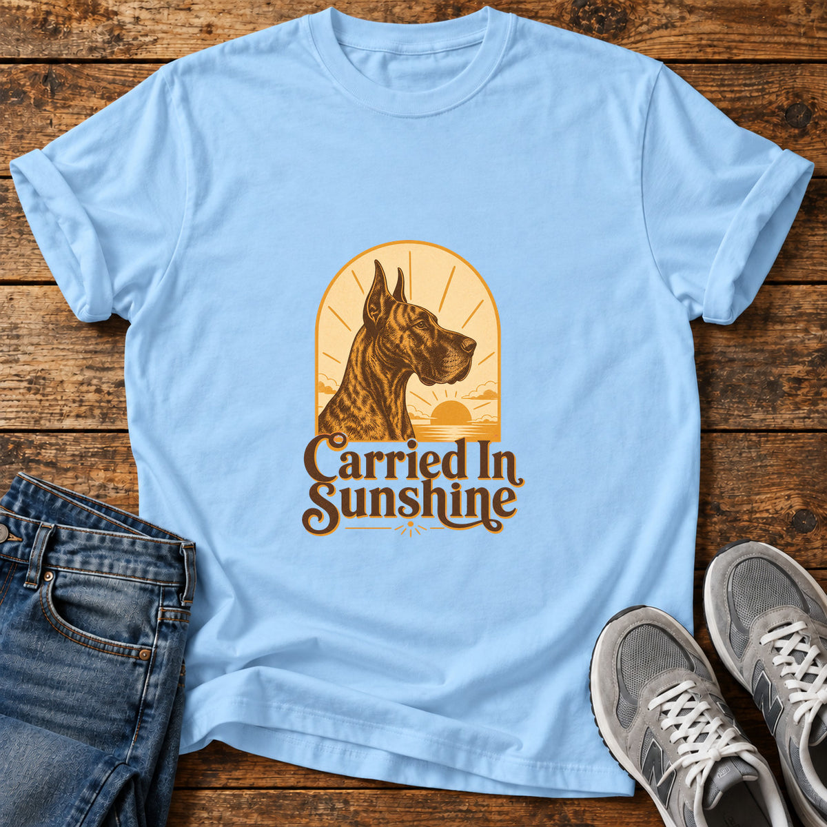 Carried In Sunshine Great Dane graphic T-shirt in Light Blue, shown on a flat-lay shirt mockup