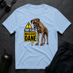 Tiny Flag Massive Dane