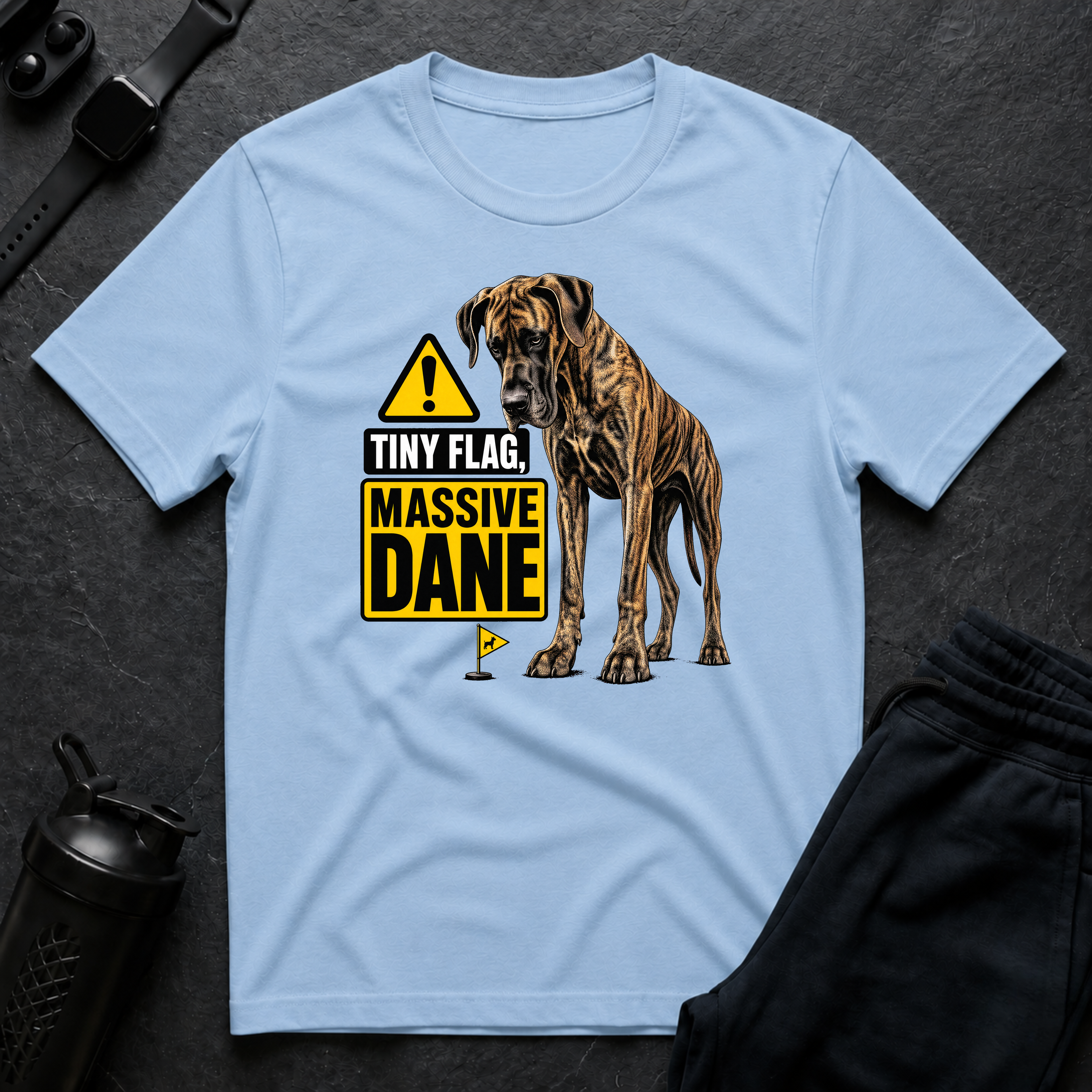 Tiny Flag Massive Dane