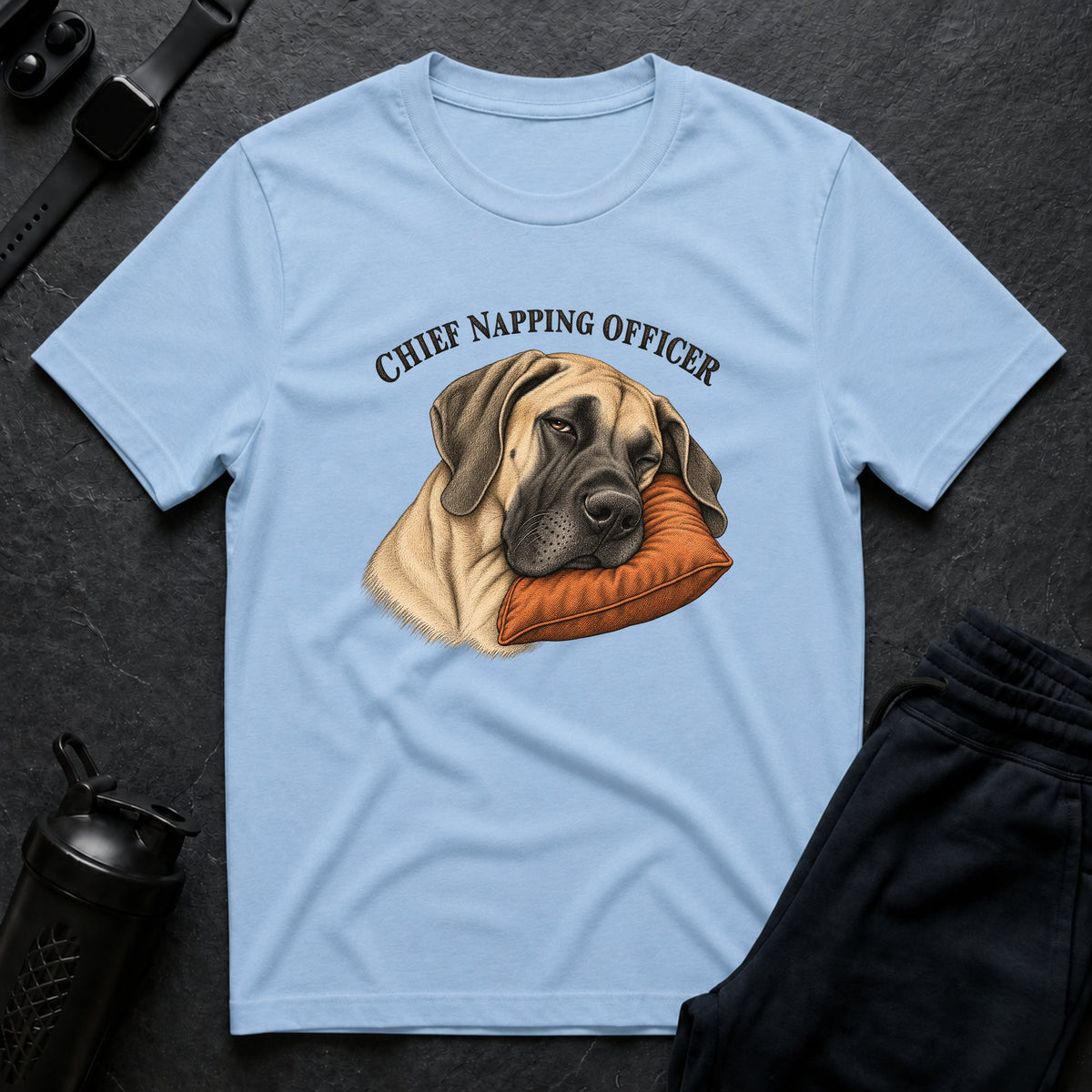 Chief Napping Officer