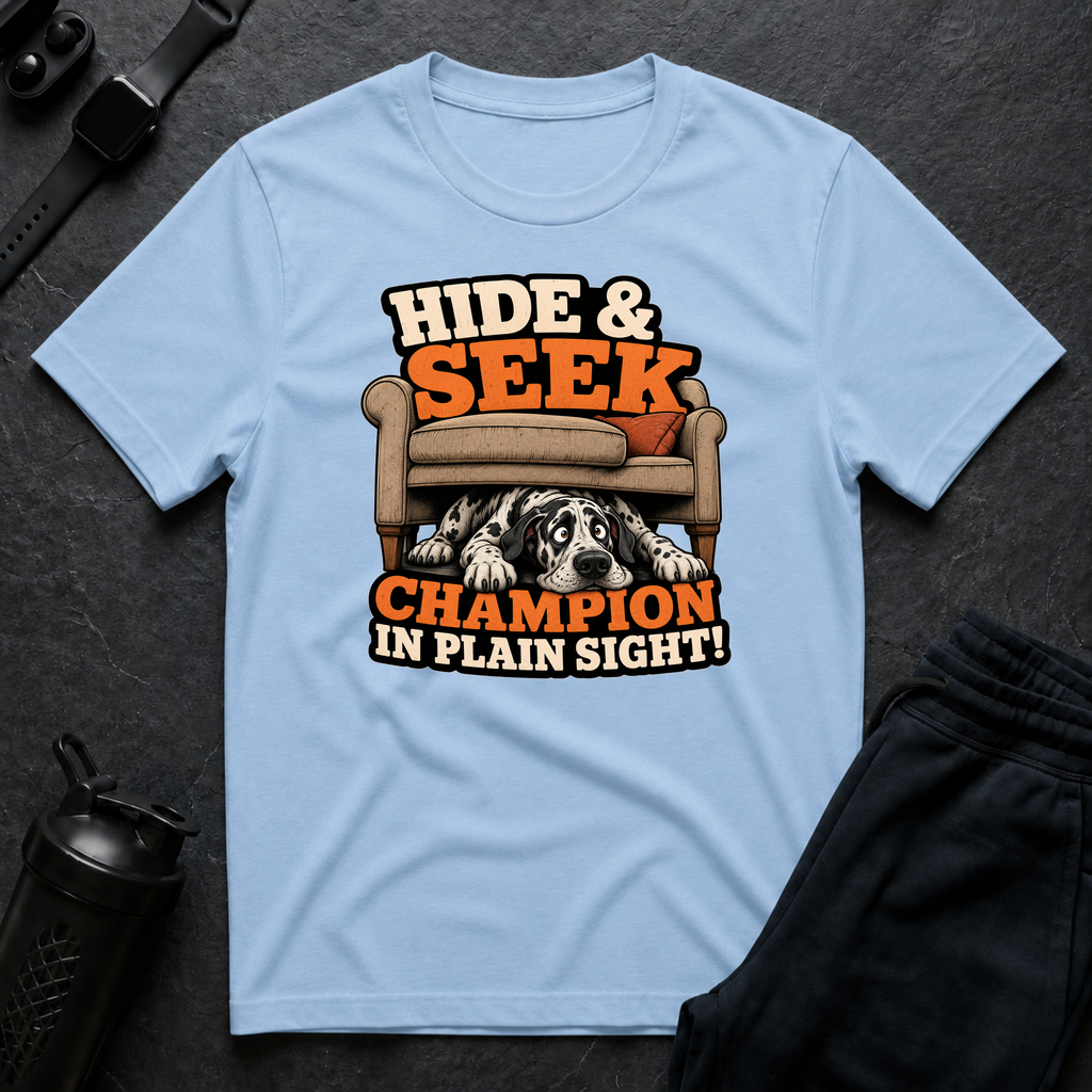 Hide Seek Champion