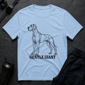 Gentle Giant 4