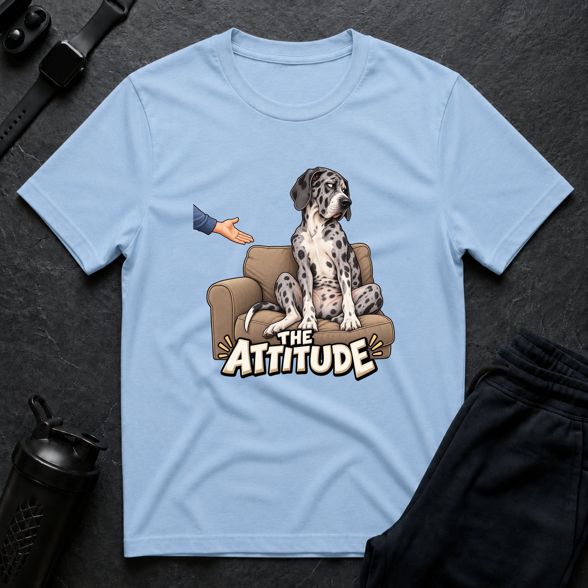 The Attitude
