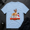 Sleighing It