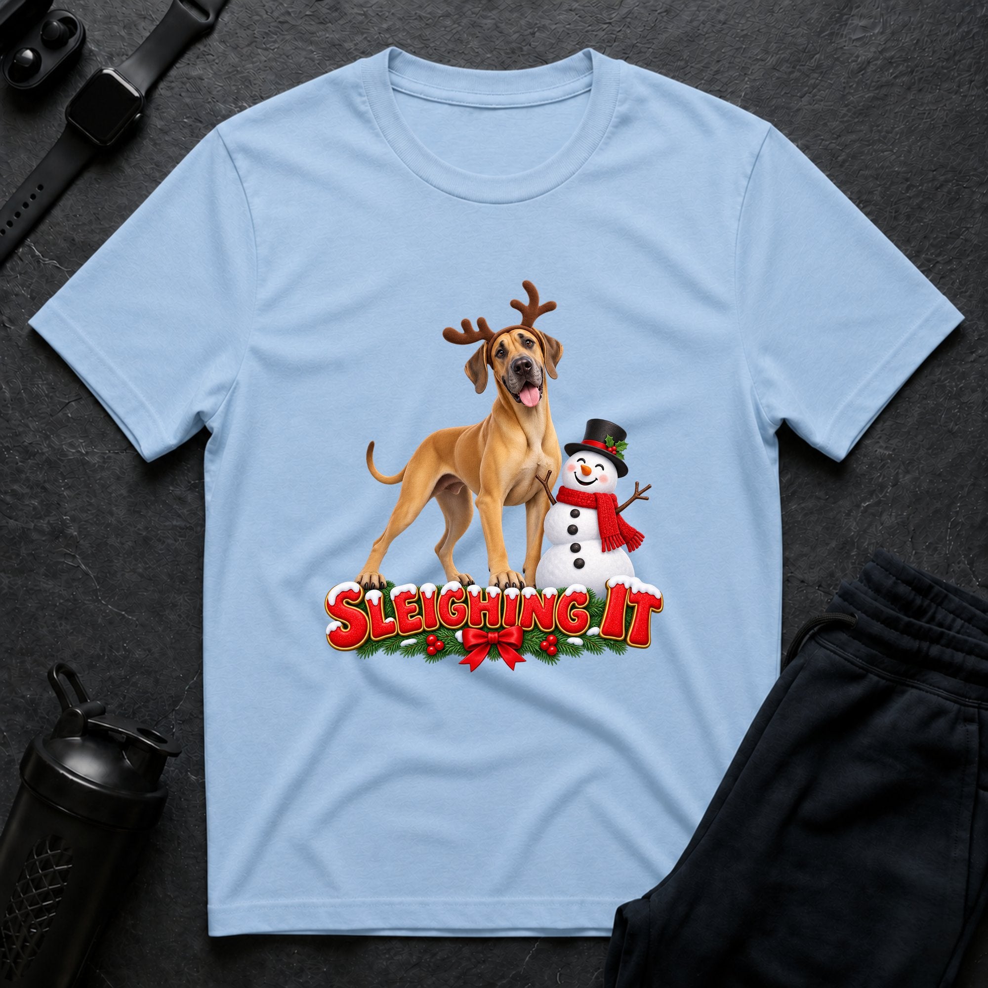 Sleighing It