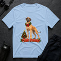 Dogmas Protector