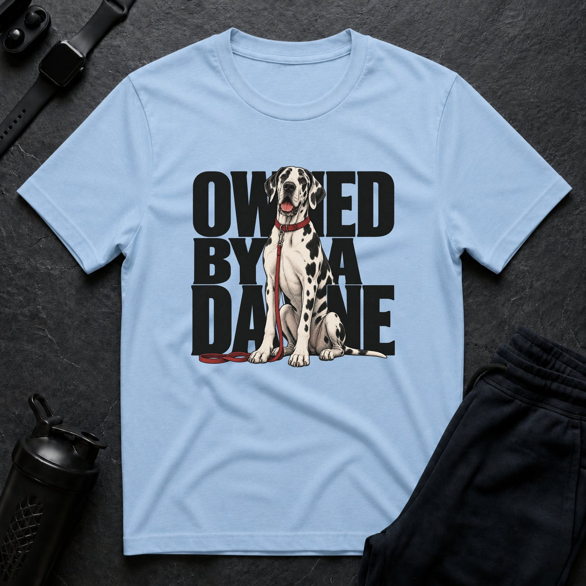 Owned By Dane T-shirt