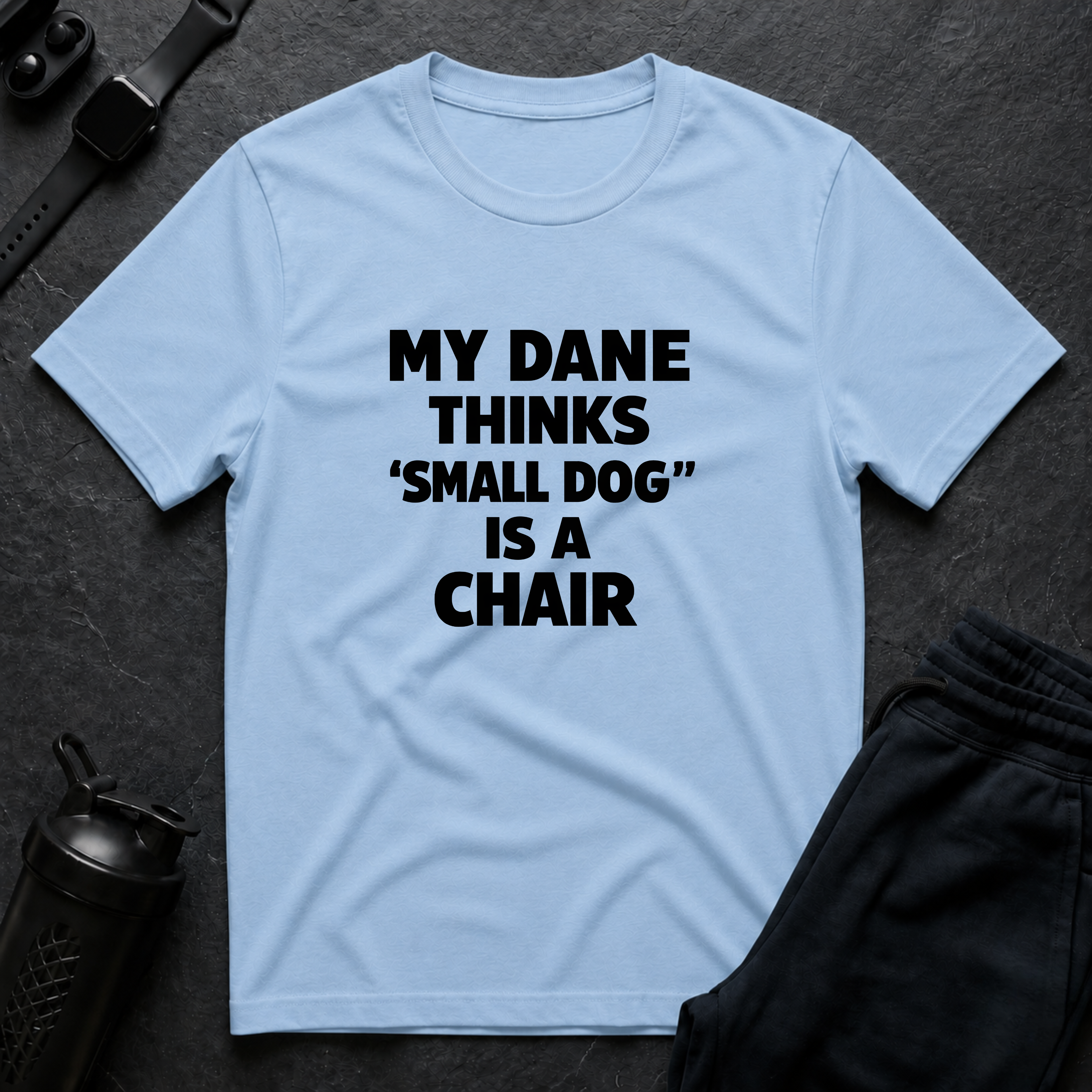 Dane Chair Humor