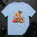 Pawfect Presents