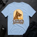 Carried In Sunshine