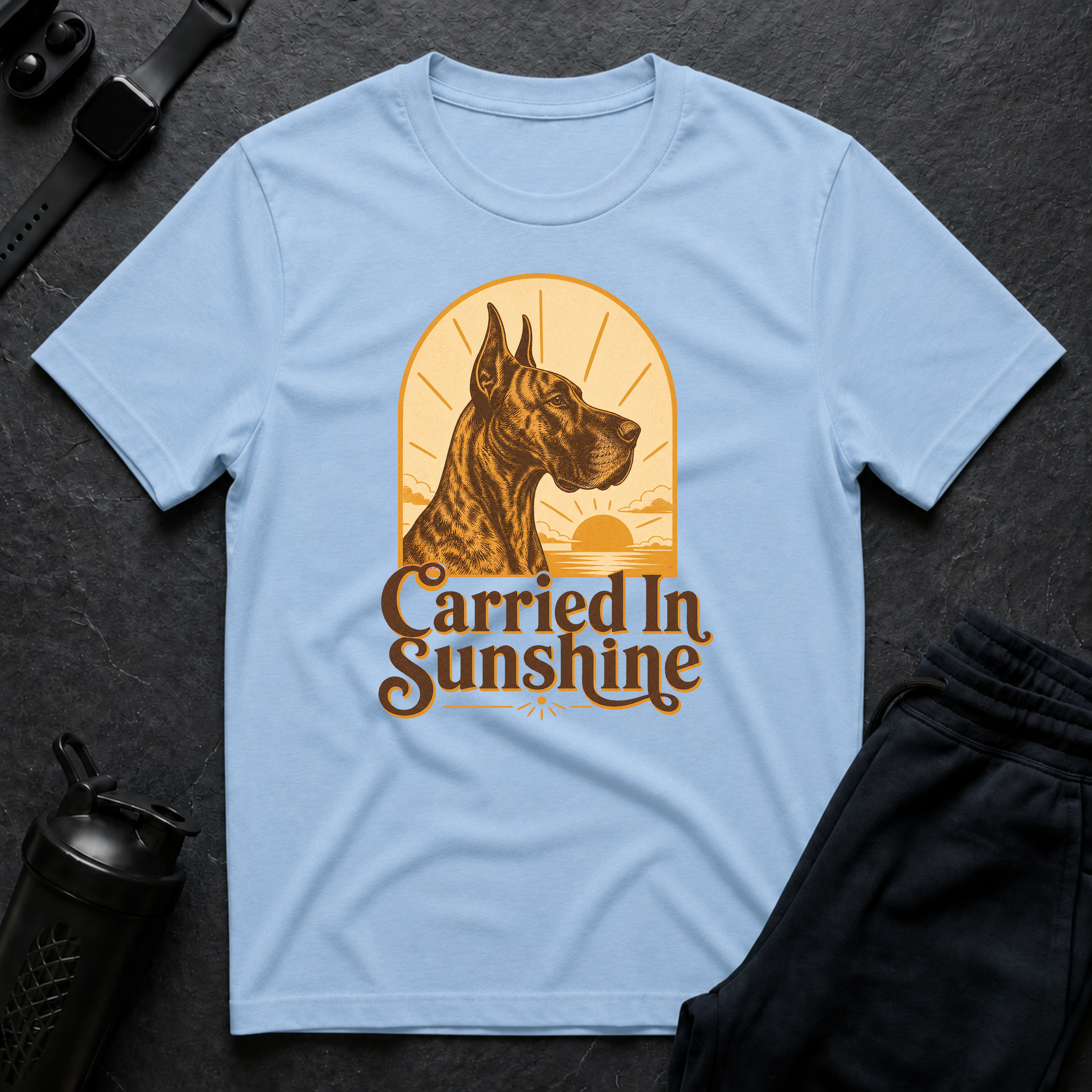Carried In Sunshine