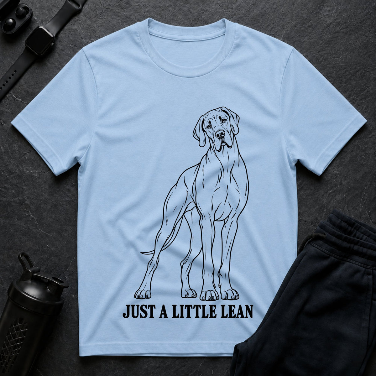 Little Lean Style