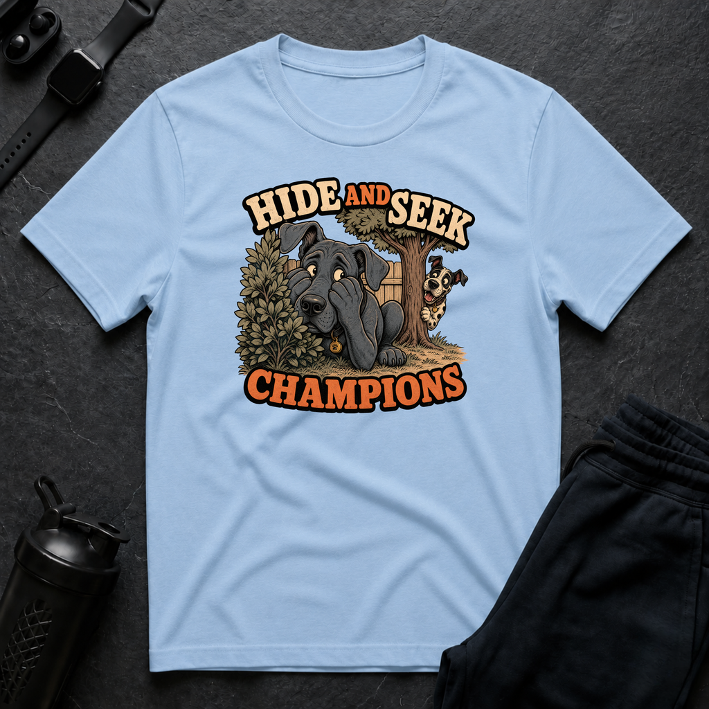 Hide and Seek Champions