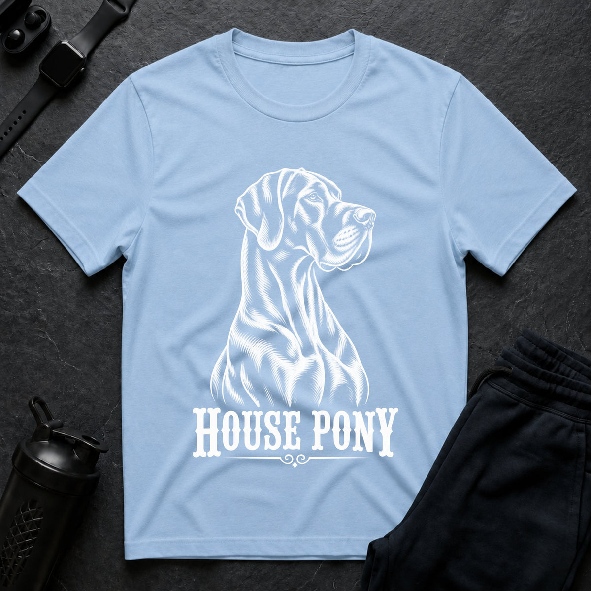 House Pony
