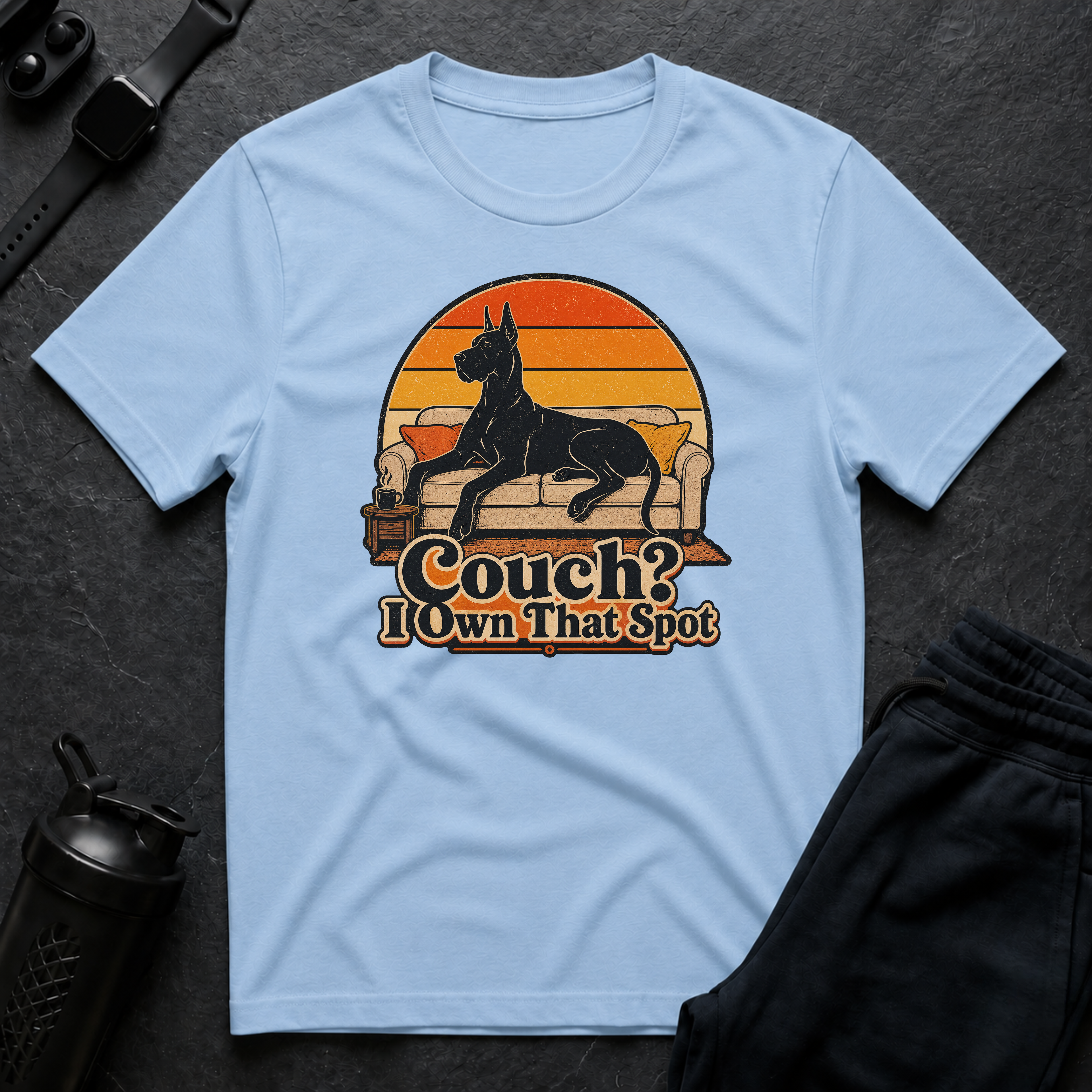 Couch Owner Dog