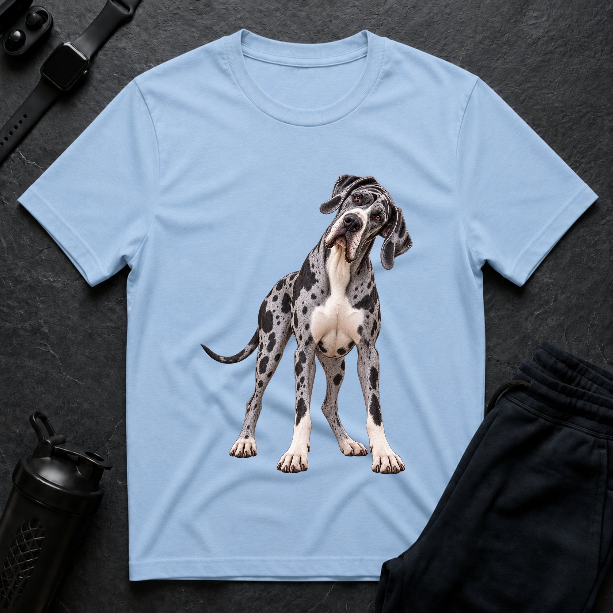 Curious Dane