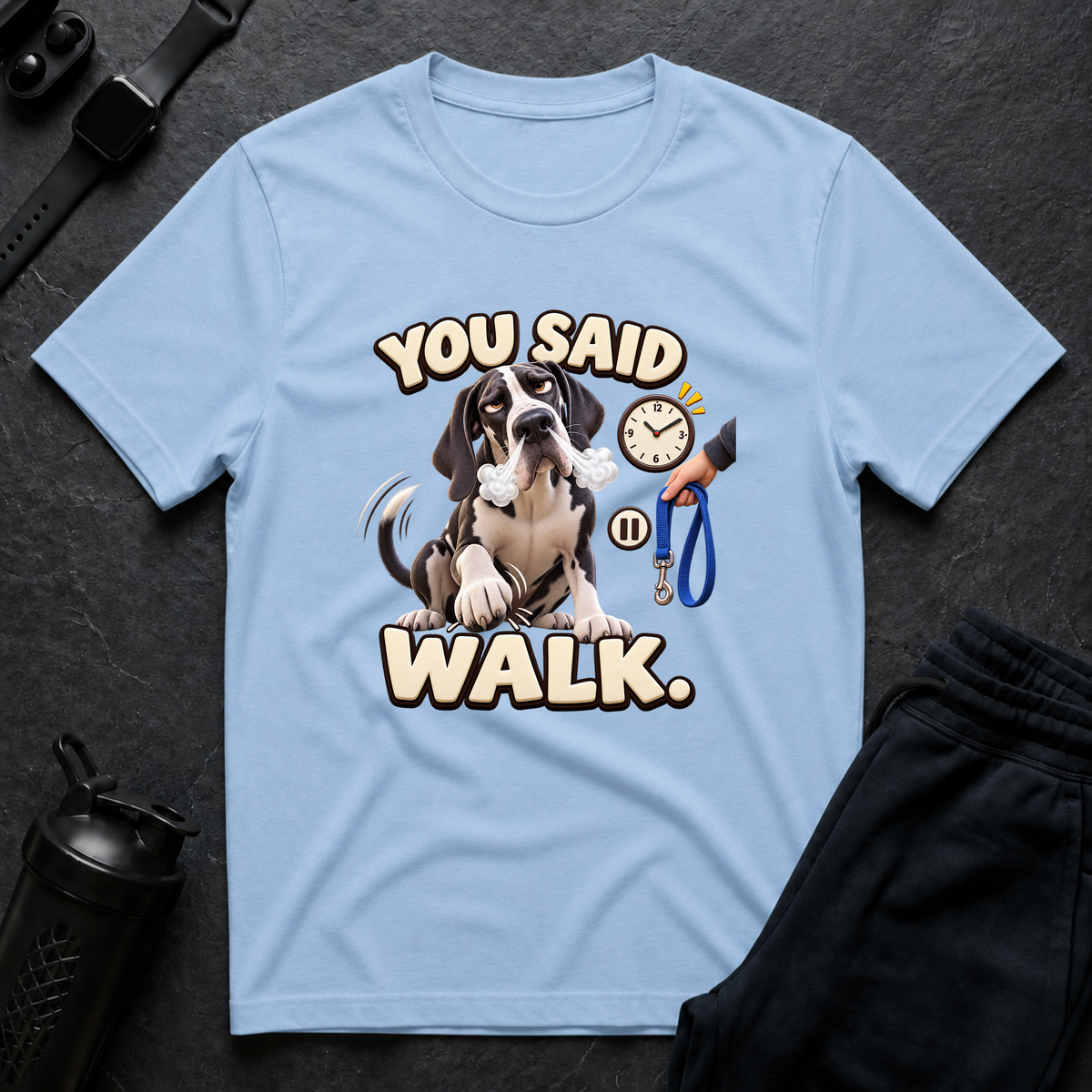 You Said Walk