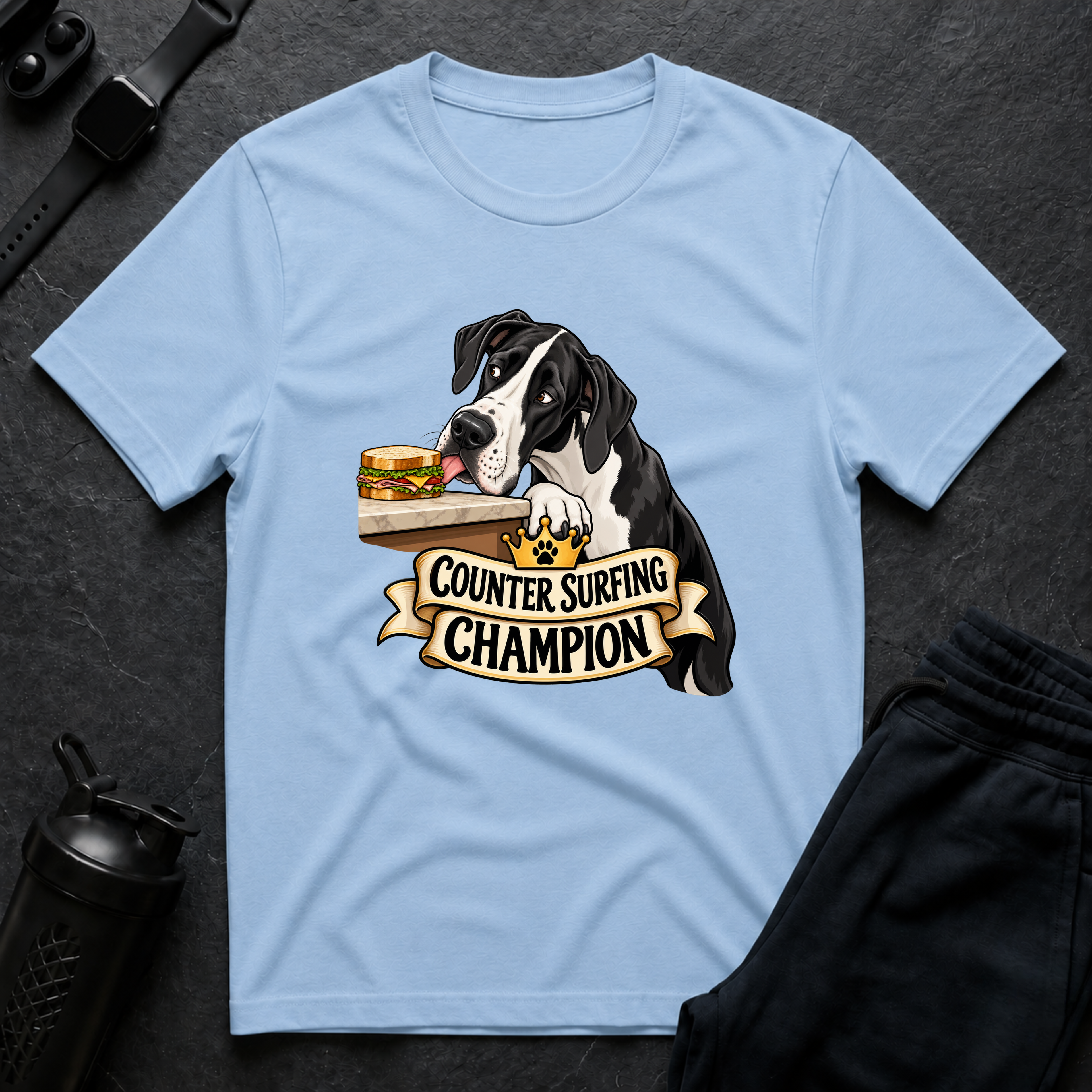 Counter Surfing Champion