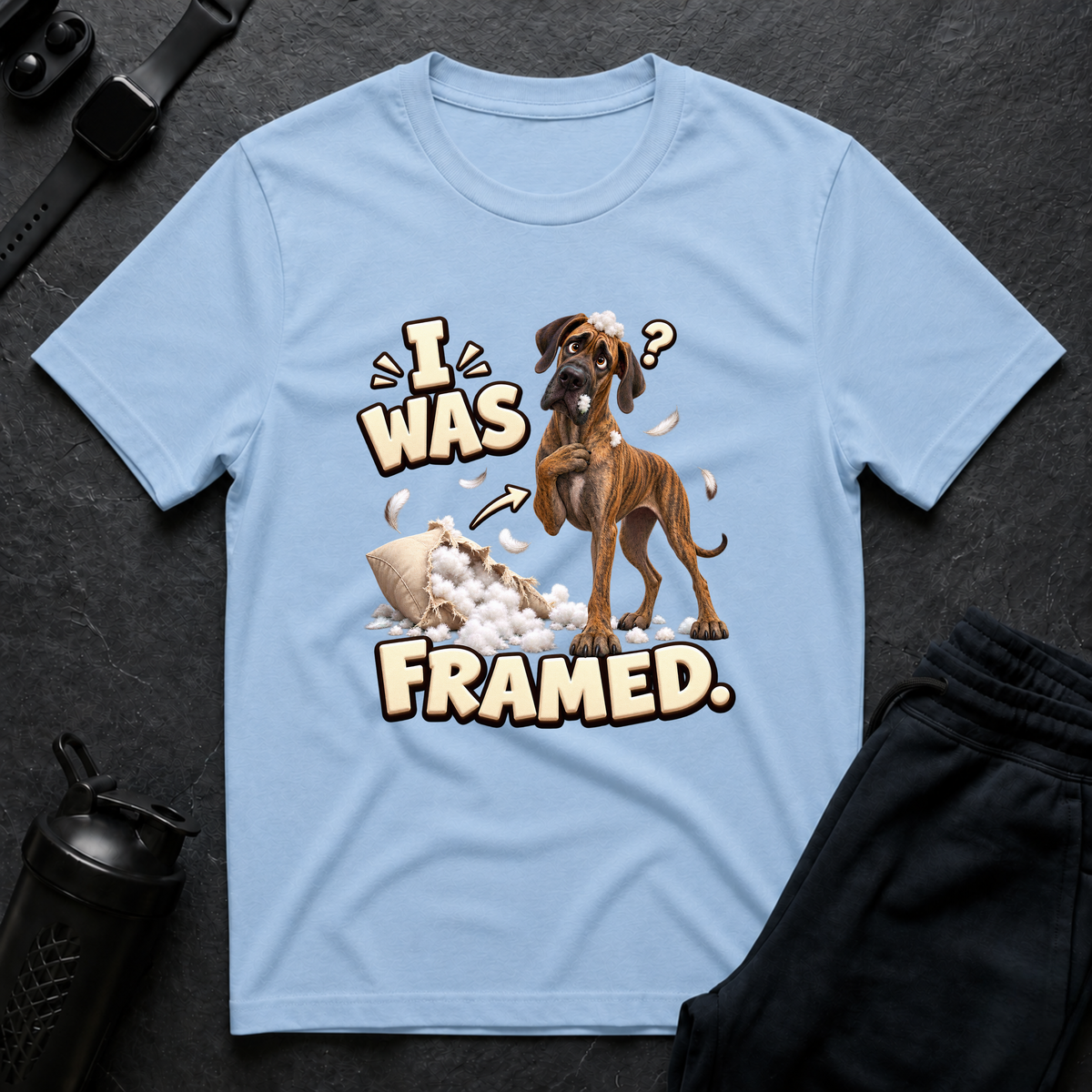 I Was Framed