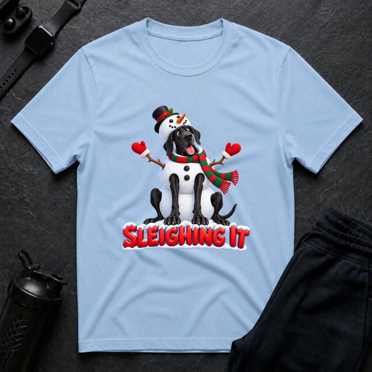 Sleighing It 2