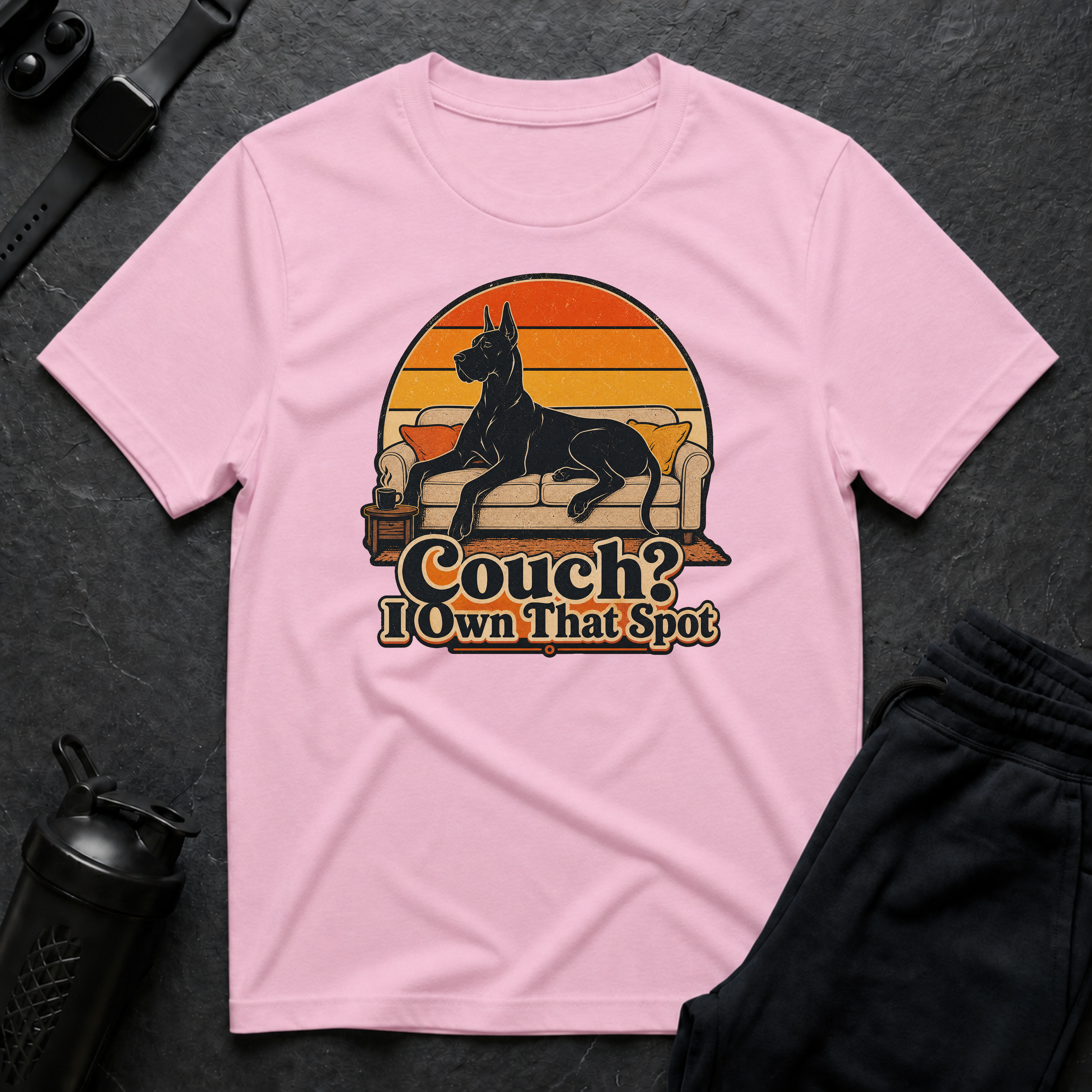 Couch Owner Dog