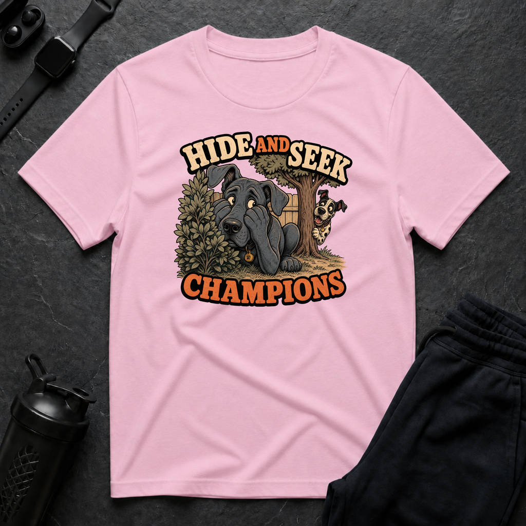 Hide and Seek Champions