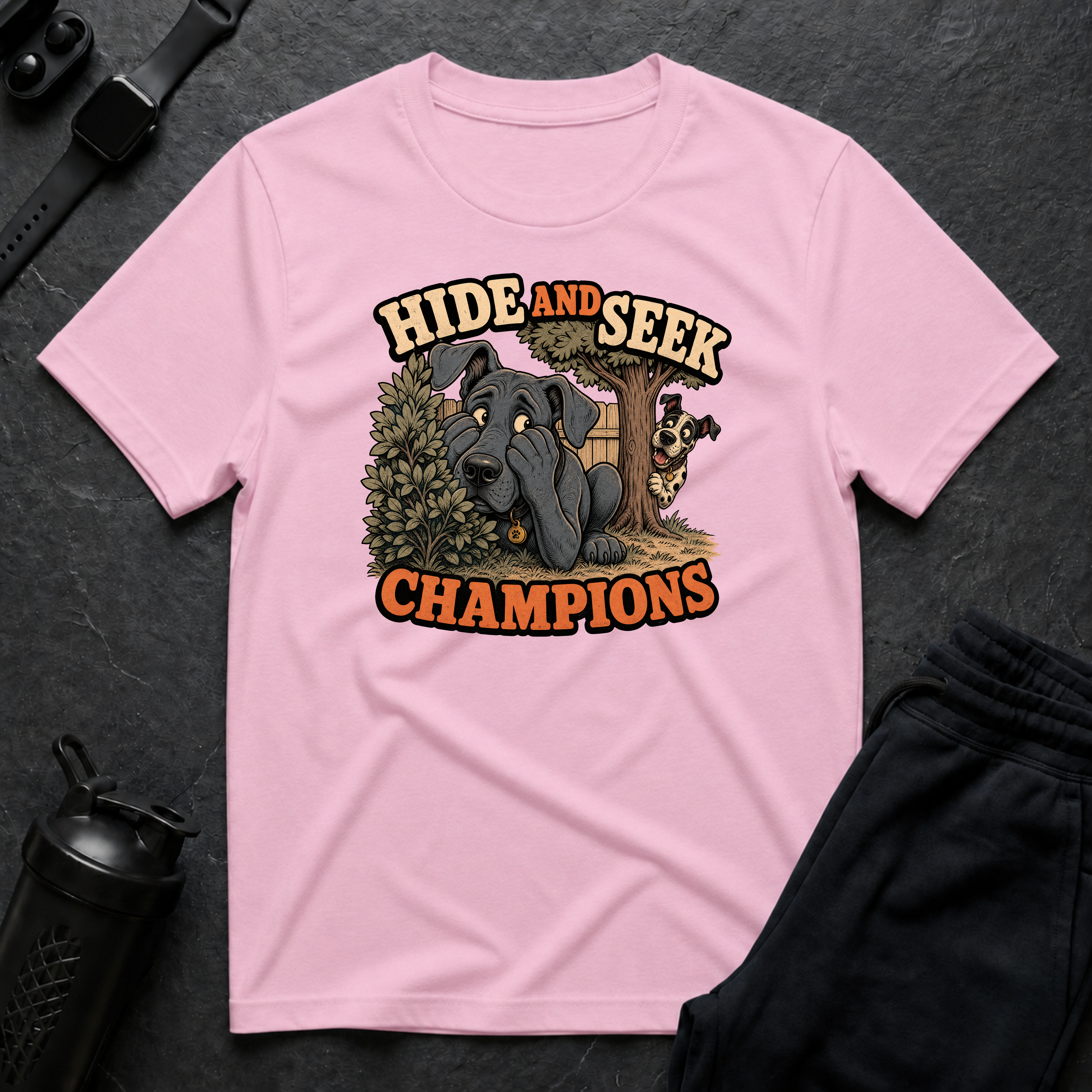 Hide and Seek Champions