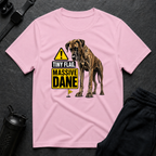 Tiny Flag Massive Dane