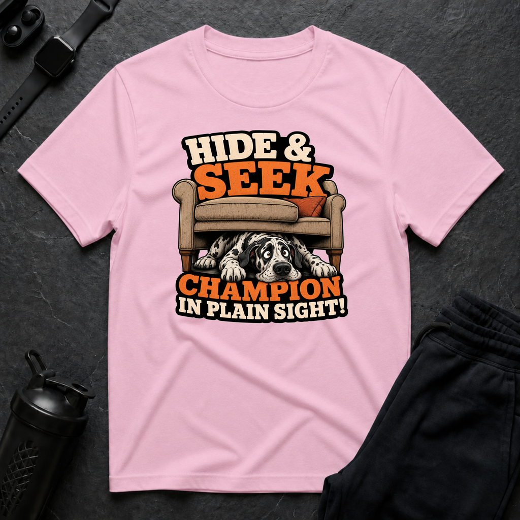 Hide Seek Champion
