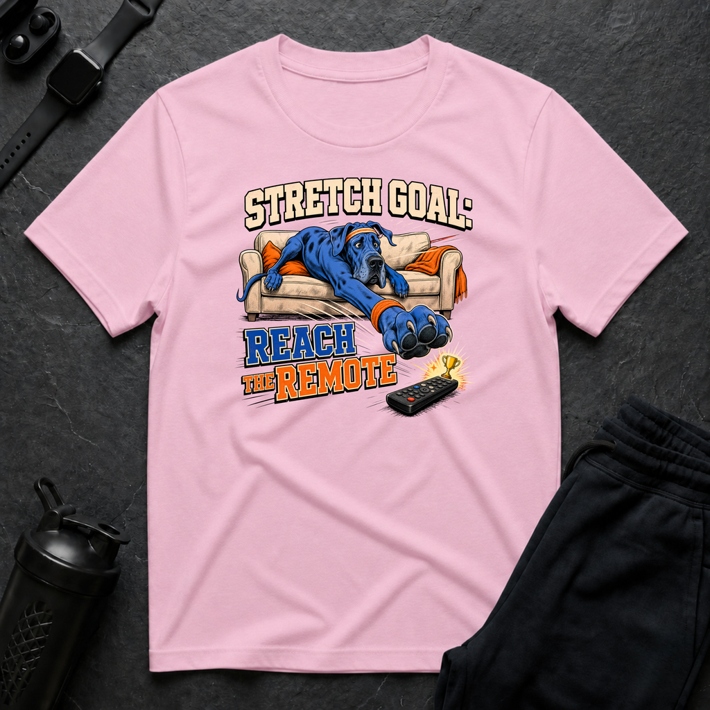 Stretch Goal Reach Remote