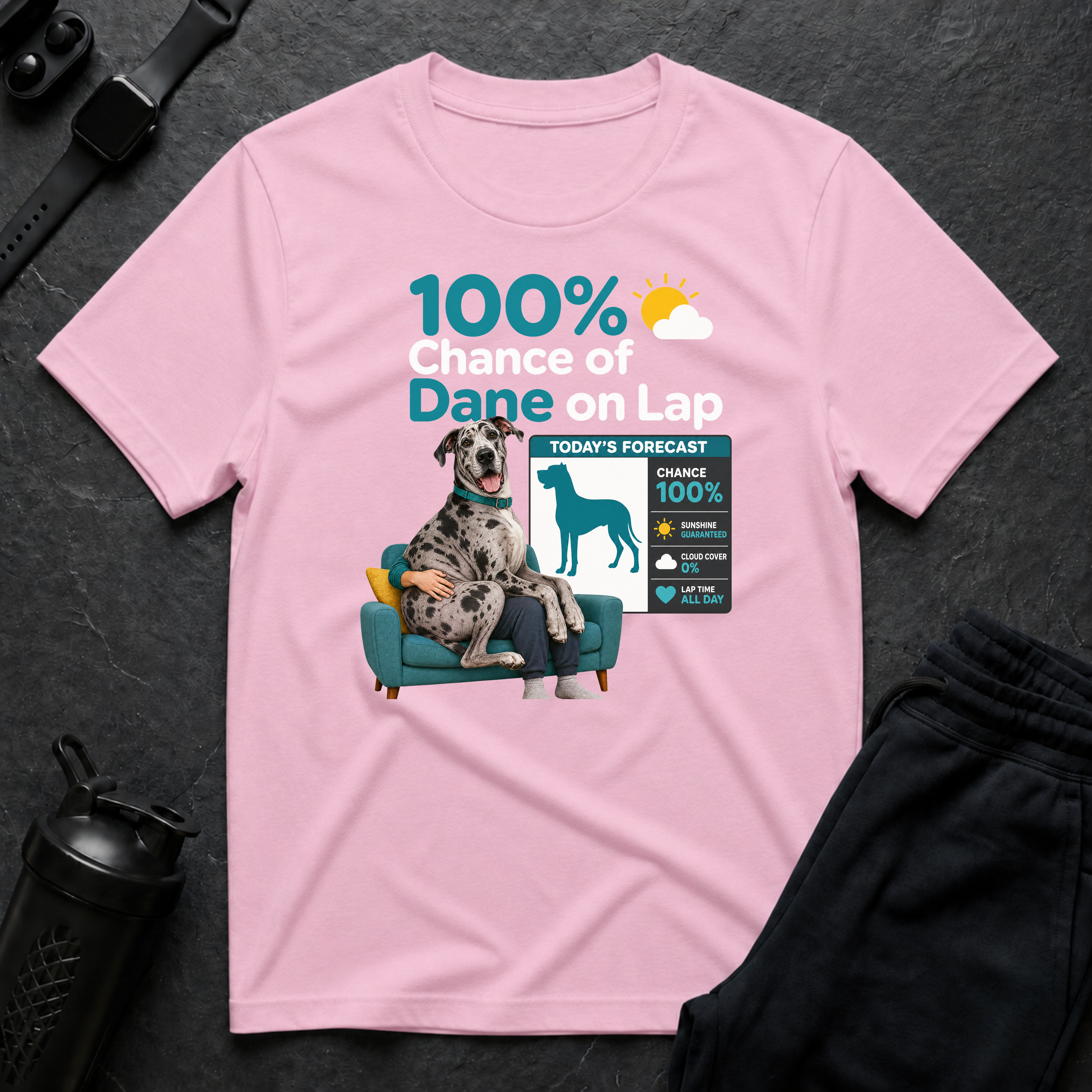 Dane on Lap Forecast